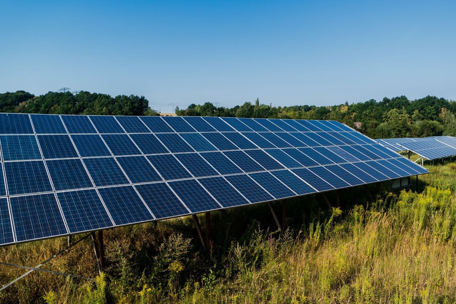 Boeren met zonnepanelen op hun land worden niet standaard uitgesloten van GLB- en ANLb-subsidies, maar voorwaarden blijven onduidelijk. Foto: Canva/Animaflora