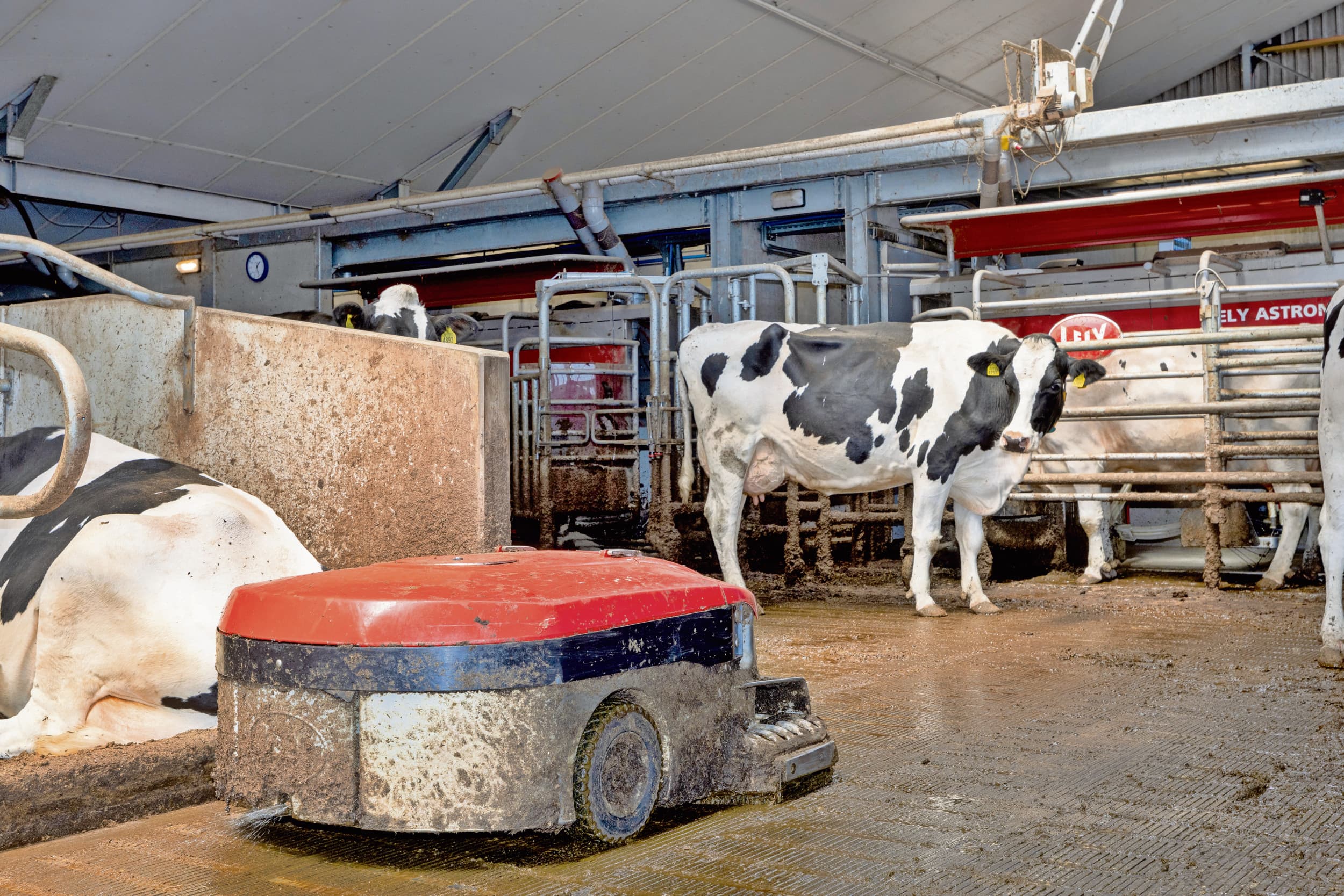 De Discovery 120 Collector-mest­robot is onderdeel van het emissiebeperkende systeem Lely Sphere, een stalinnovatie waar Wiersma geld voor beschikbaar stelt. Foto: Peter Roek