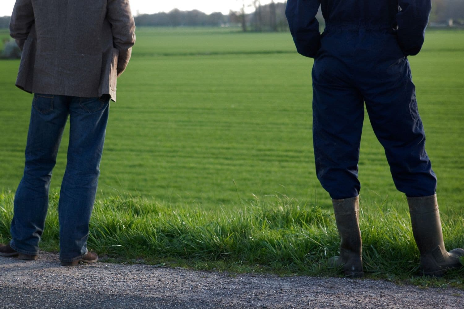 De BLHB is tegen kortlopende pacht omdat deze onzekerheid creëert, waardoor pachters niet worden gestimuleerd om te investeren in biodiversiteit, bodemvruchtbaarheid en andere duurzame maatregelen. Foto: Jan Willem Schouten