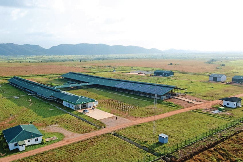 Het melkveebedrijf van Arla staat in Damau in de het noorden van Nigeria. Foto: Arla Foods