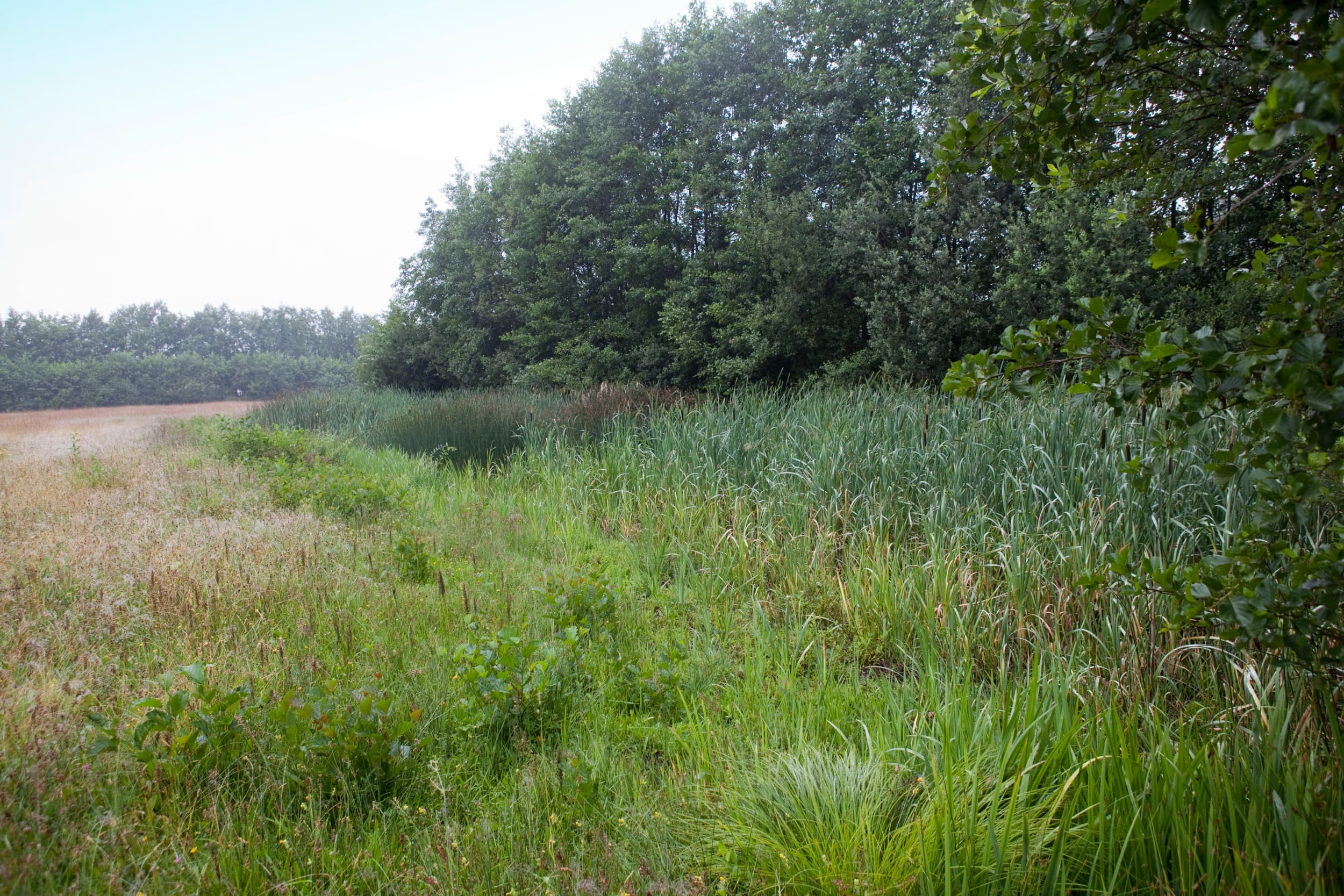 schikking natuurbeheerders en grondeigenaren