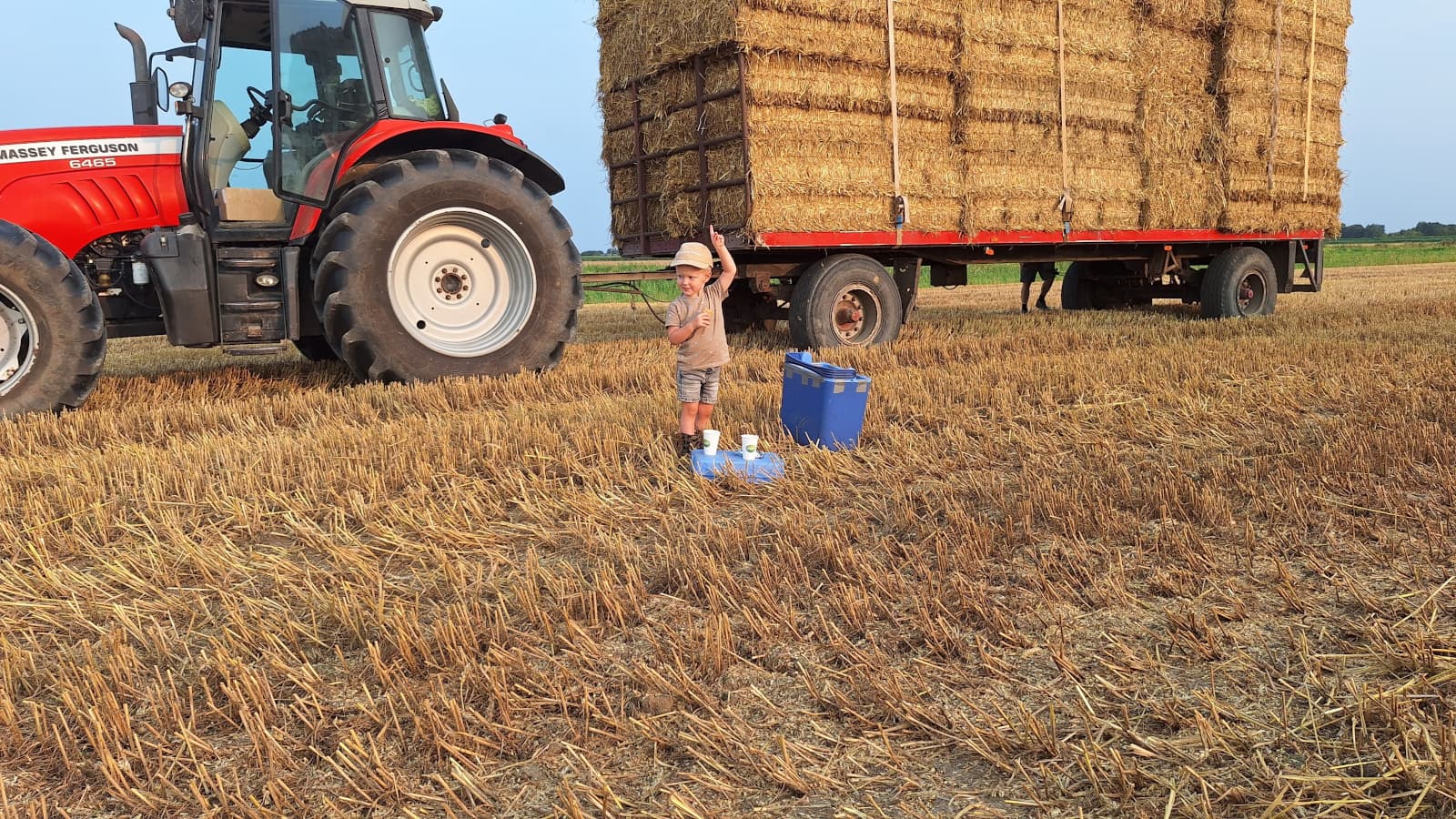Stro ophalen voor de vrijloopstal bij IJsboerderij Heidehoeve in Etten-Leur. – Foto: Kees Pijs