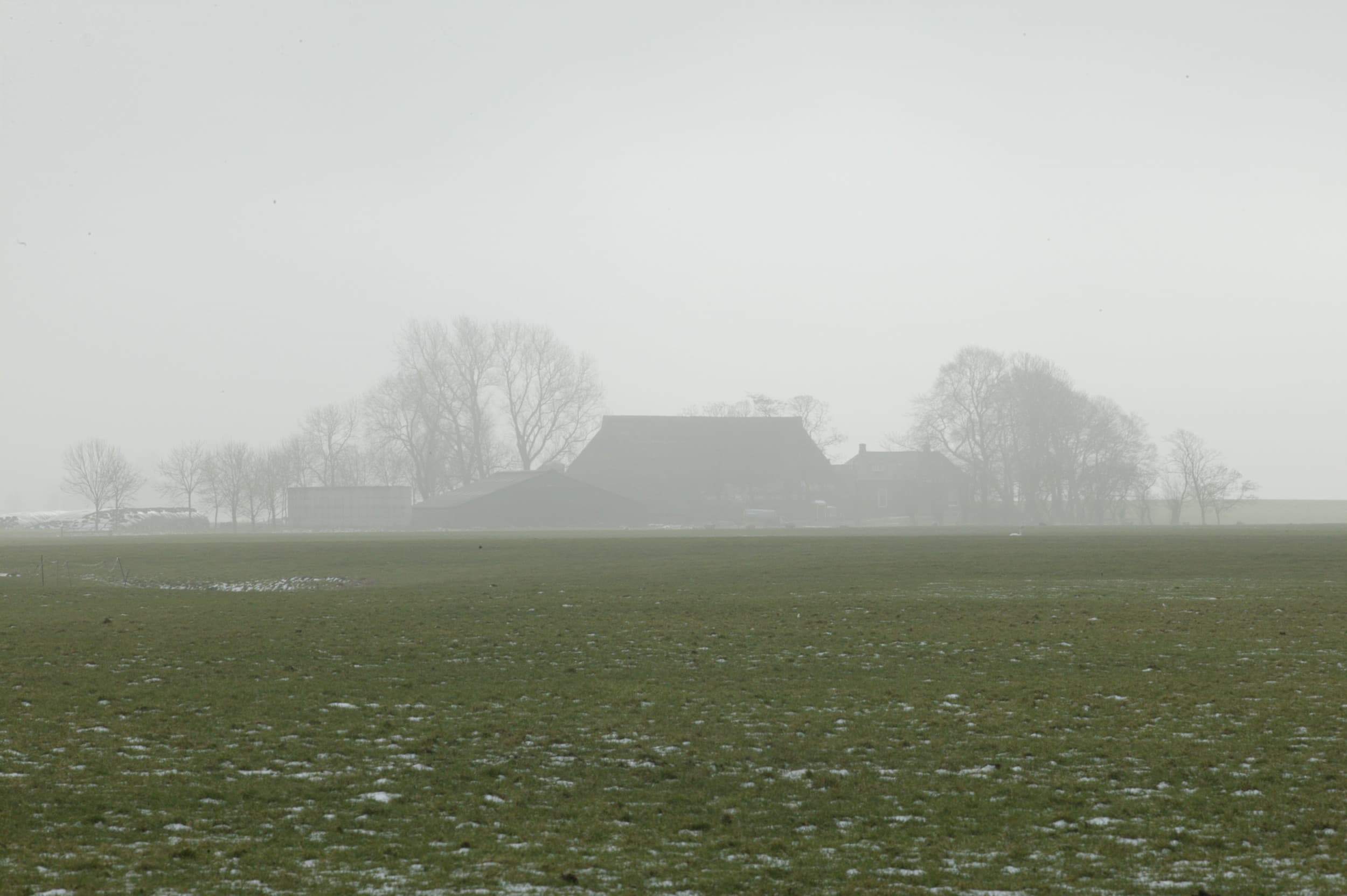 De Staat erkent de schade die de boeren hebben gesteld, maar dit veranderde niets aan de beslissing van de rechtbank, waardoor de boeren zich moeten houden aan de normen in NV-gebieden en dit jaar 20% minder stikstof mogen gebruiken. Foto ter illustratie. Foto: Henk Riswick