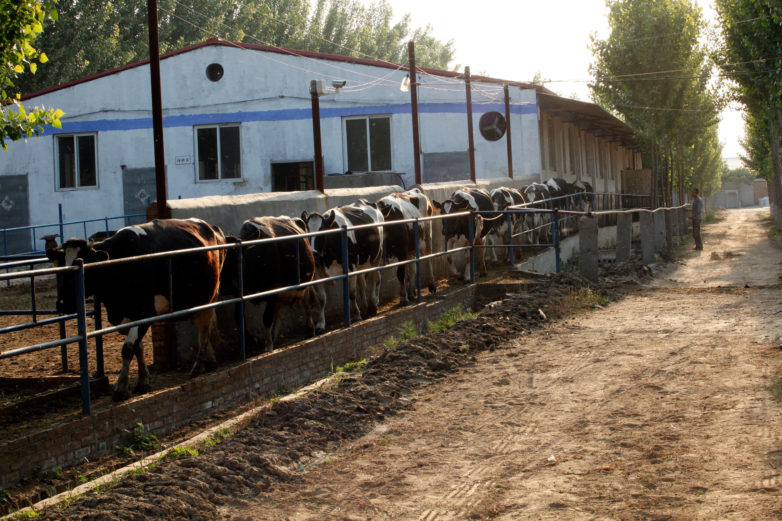 OESO wil subsidies landbouw inzetten voor duurzaamheid