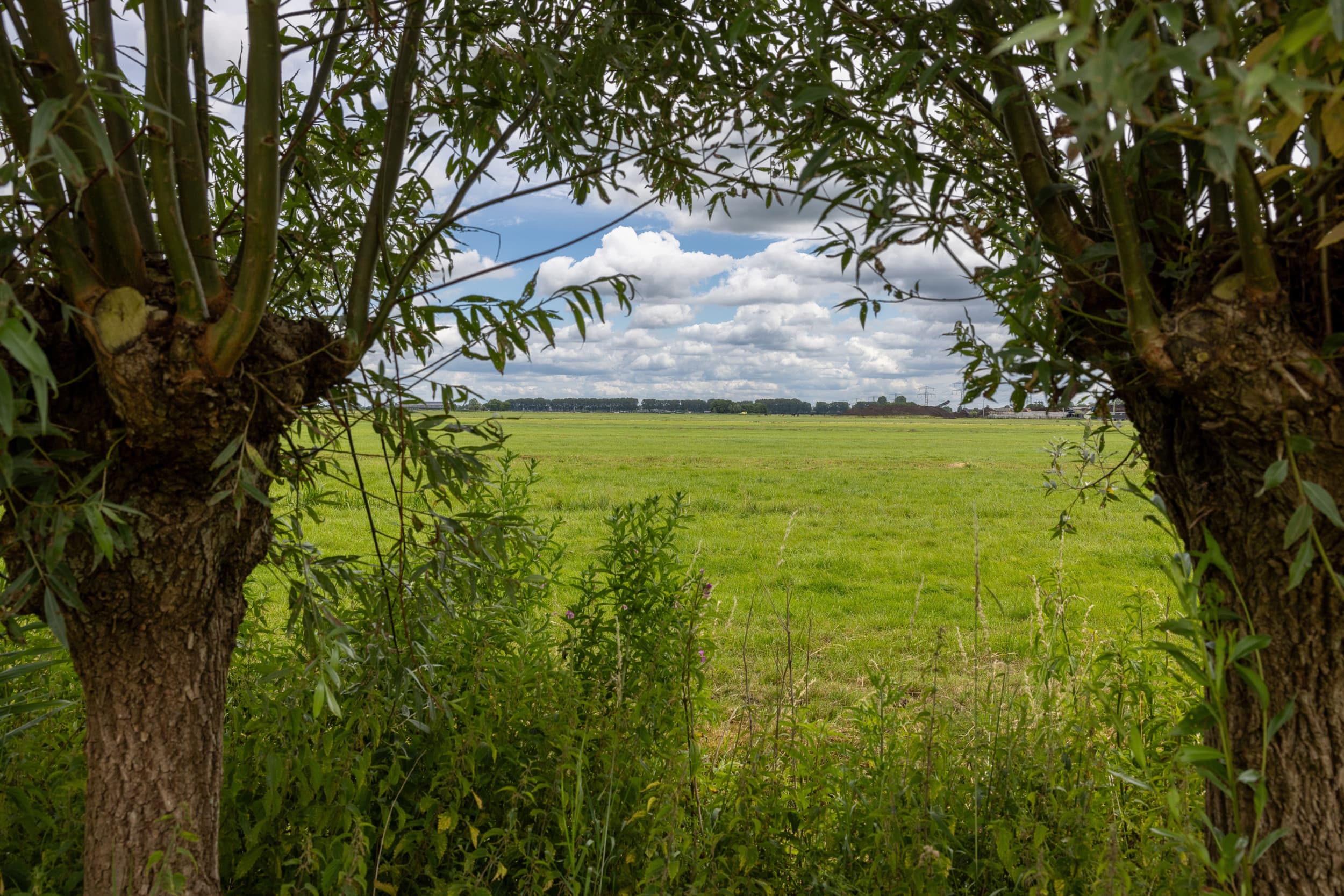 NPLG gecanceld door kabinet Schoof