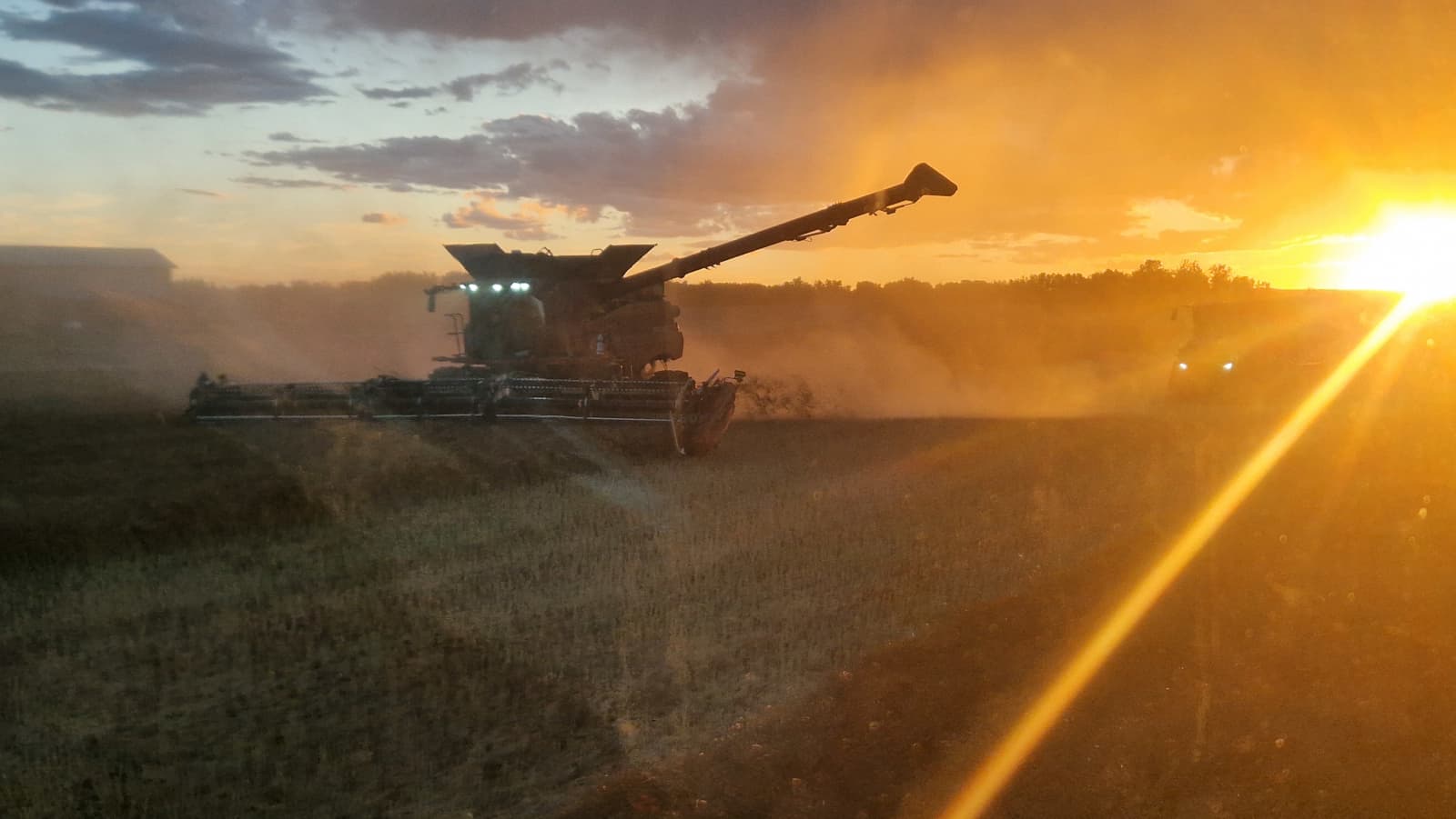 Erwin Ros werkte deze zomer een aantal weken op de combine in de Canadese staat Alberta op een 4.000 ha groot akkerbouwbedrijf. Met 3 combines met een 12 meter-maaibord, een 70 tons overlaadwagen met 720 pk rupstrekker en 2 trucks oogstten ze gerst, durum tarwe en koolzaad. Ook in Alberta regende het af en toe, daarom werkten ze vaak tot middernacht door als het weer gunstig was. - Foto: Erwin Ros