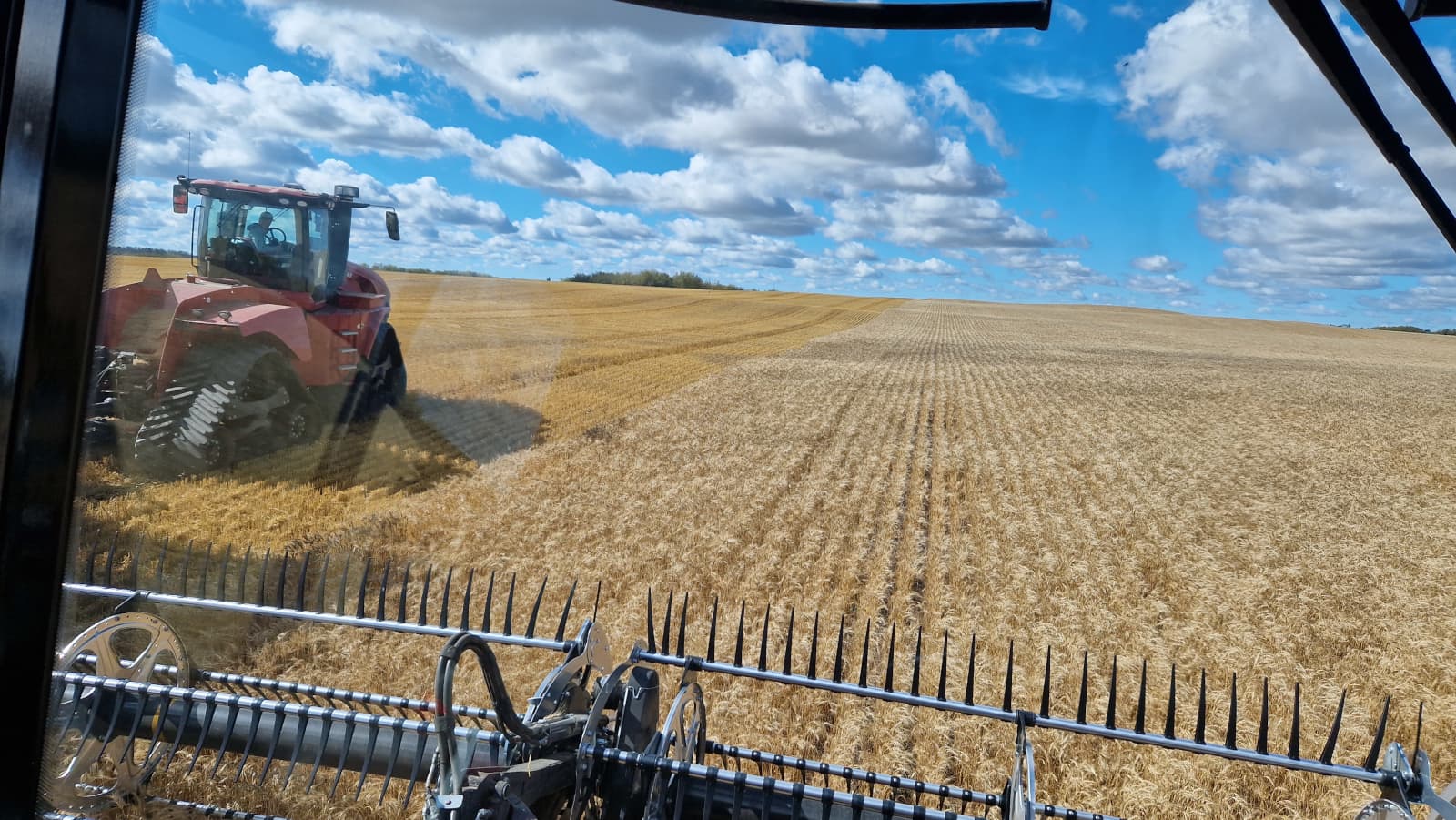 Erwin Ros werkte deze zomer een aantal weken op de combine in de Canadese staat Alberta op een 4.000 ha groot akkerbouwbedrijf. Met 3 combines met een 12 meter-maaibord, een 70 tons overlaadwagen met 720 pk rupstrekker en 2 trucks oogstten ze gerst, durum tarwe en koolzaad. Ook in Alberta regende het af en toe, daarom werkten ze vaak tot middernacht door als het weer gunstig was. - Foto: Erwin Ros