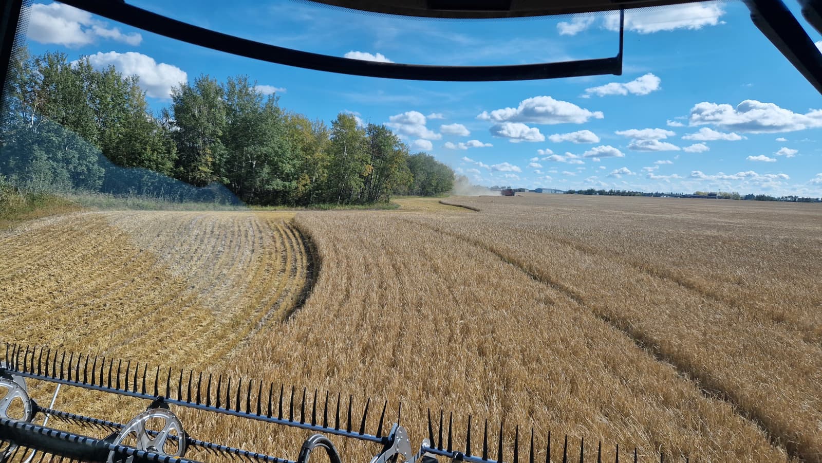 Erwin Ros werkte deze zomer een aantal weken op de combine in de Canadese staat Alberta op een 4.000 ha groot akkerbouwbedrijf. Met 3 combines met een 12 meter-maaibord, een 70 tons overlaadwagen met 720 pk rupstrekker en 2 trucks oogstten ze gerst, durum tarwe en koolzaad. Ook in Alberta regende het af en toe, daarom werkten ze vaak tot middernacht door als het weer gunstig was. - Foto: Erwin Ros