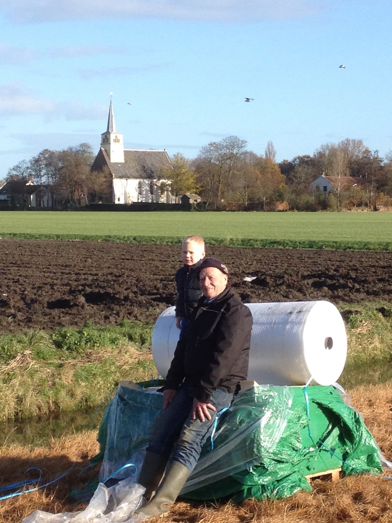 Geen oogst van gras op de foto, wel tulpenbollen planten en tulpenbloemen (na)koppen en rooien bij Vlaar Bloembollen in Benningbroek (N-H.) De jongsten kijken toen en leren hoe het moet en de oudsten houden toezicht. – Foto: Jacqueline Schipper