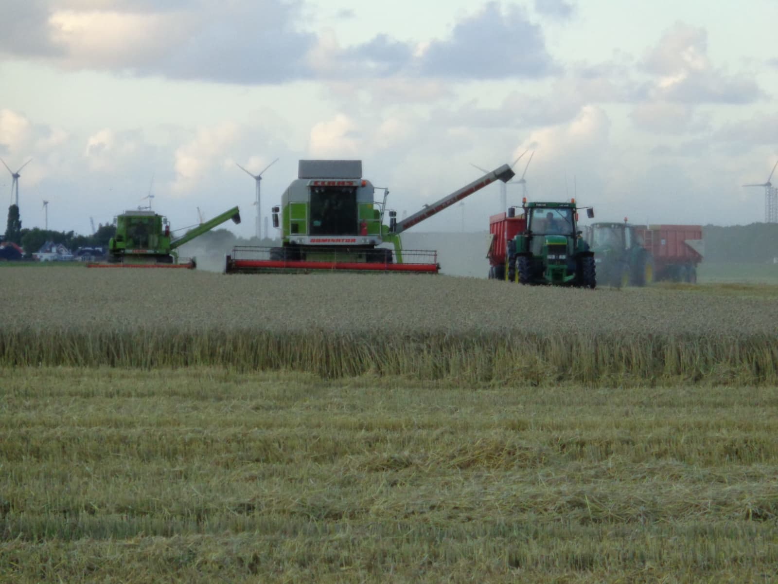 Twee combines en twee keepers dorsen. Het onweer komt eraan. – Foto: Annemarie Stoppels
