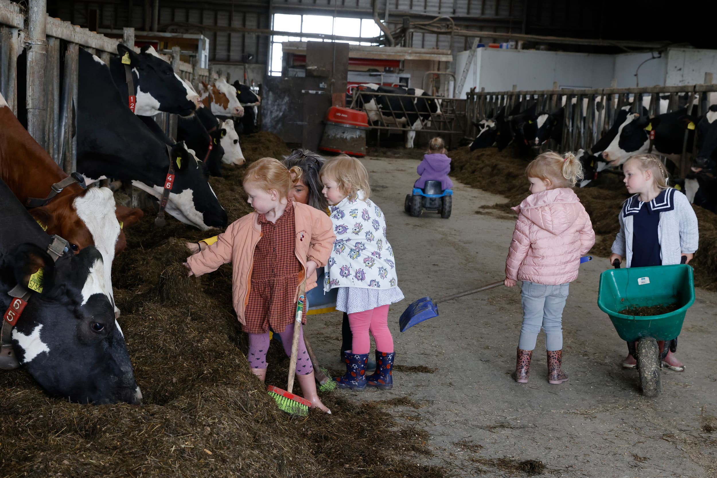 omzet multifunctionele landbouw