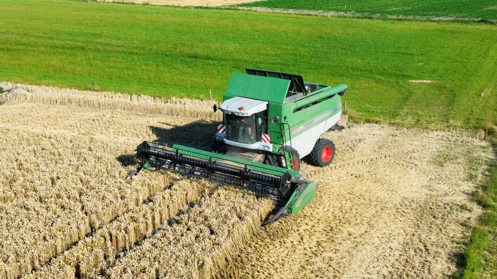 De eerste oogstdag in de buurt van het Zeeuwse Zoutelande met de pas aangeschafte Fendt 8400 P-combine uit 2009. - Foto: Janis de Witte