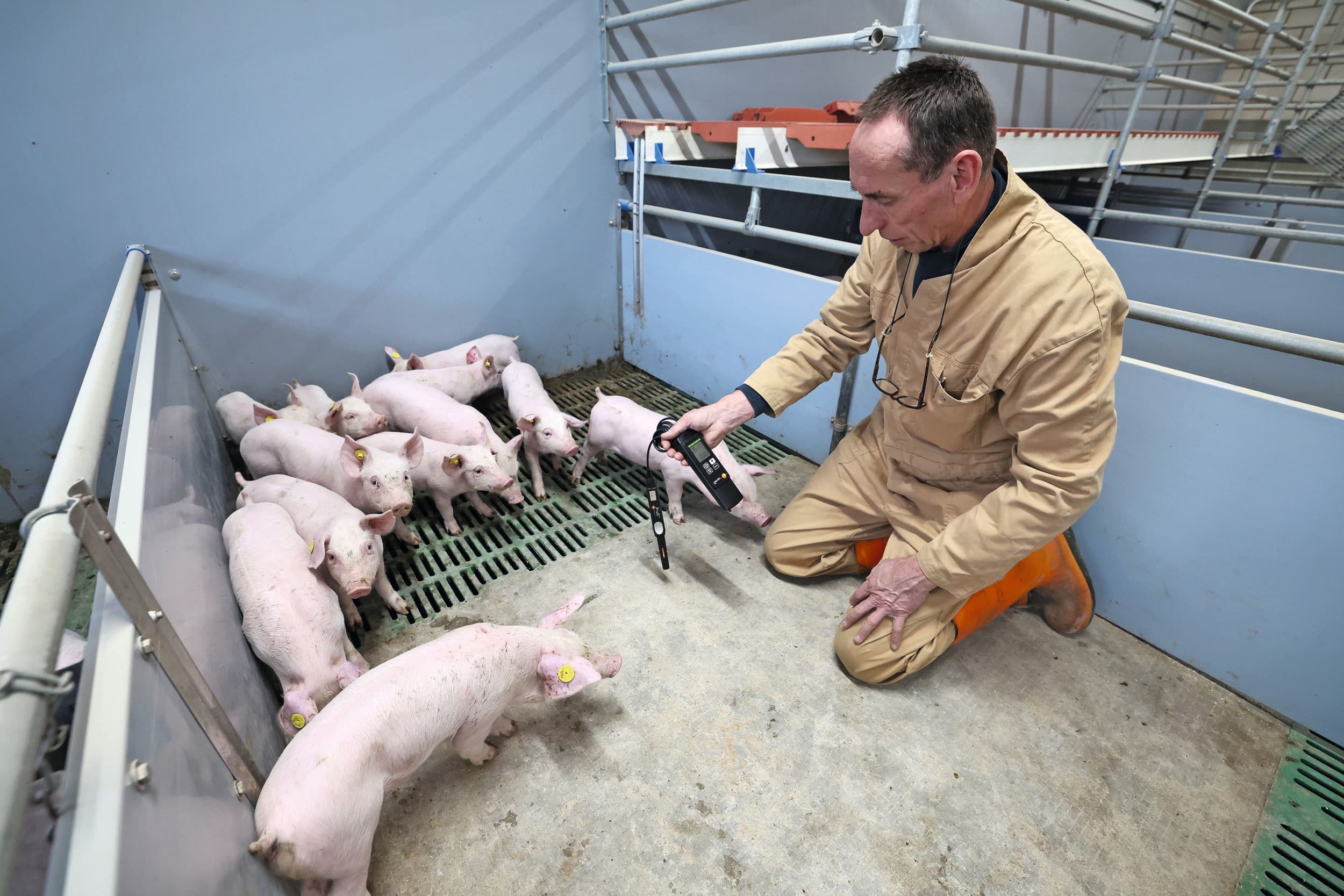 Klimaatspecialist Jan van den Brink controleert de temperatuur in de biggenstal. Een van zijn adviezen is om de klimaatinstellingen te controleren, een aantal weken na opstart in een nieuwe stal. Foto: Bert Jansen