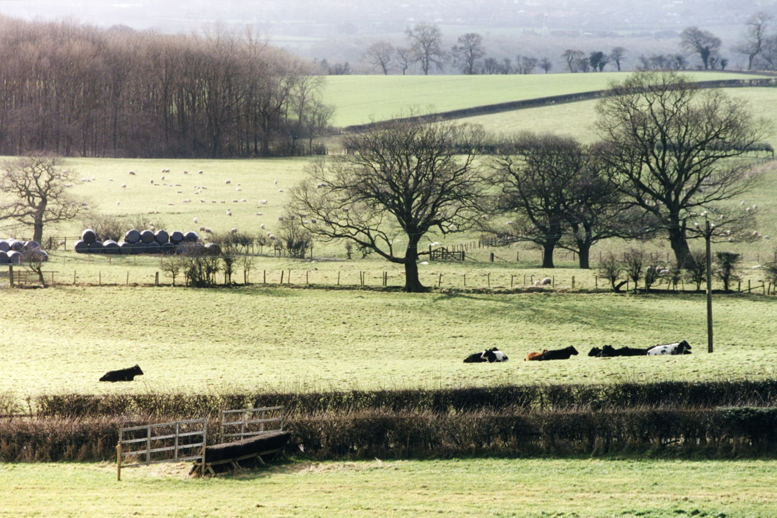 Britse boeren vrezen dat erfbelasting en hogere kosten hun familiebedrijven bedreigen. Foto: Koos Groenewold
