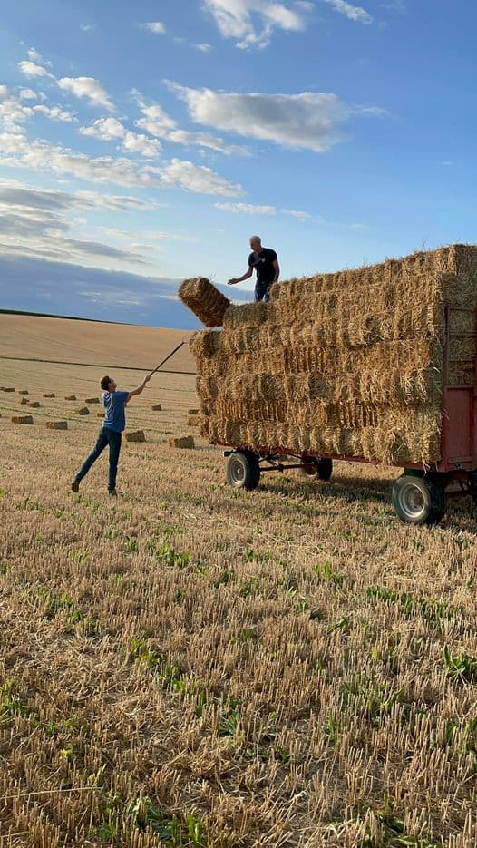 Elk jaar maken we circa 2.000 kleine balen stro die handmatig worden opgestoken en binnengehaald. Hard werken wordt beloond met een gezellige tijd met familie en medewerkers. De foto is gemaakt in het Siekendaal, een dal in de Zuid-Limburgse heuvels ten oosten van Catsop. - Foto: Nienke Gorter / Inzending: Boerderijwinkel Dols