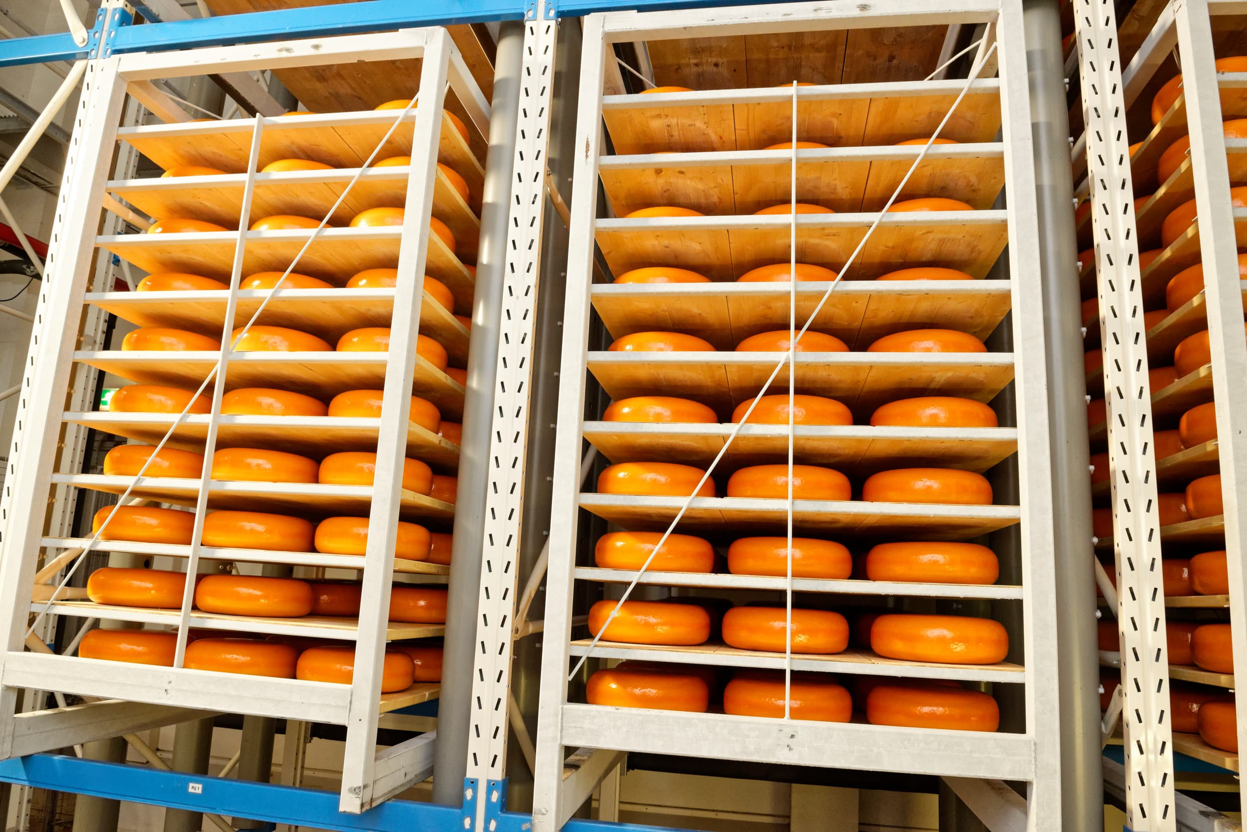 Hoewel de wereldwijde zuivelmarkten onder lichte druk staan, blijft de vraag naar kaas en andere zuivelproducten volgens Stichting Nederlandse Zuivelbeurs sterk, zowel in Europa als daarbuiten. Foto: Lex Salverda