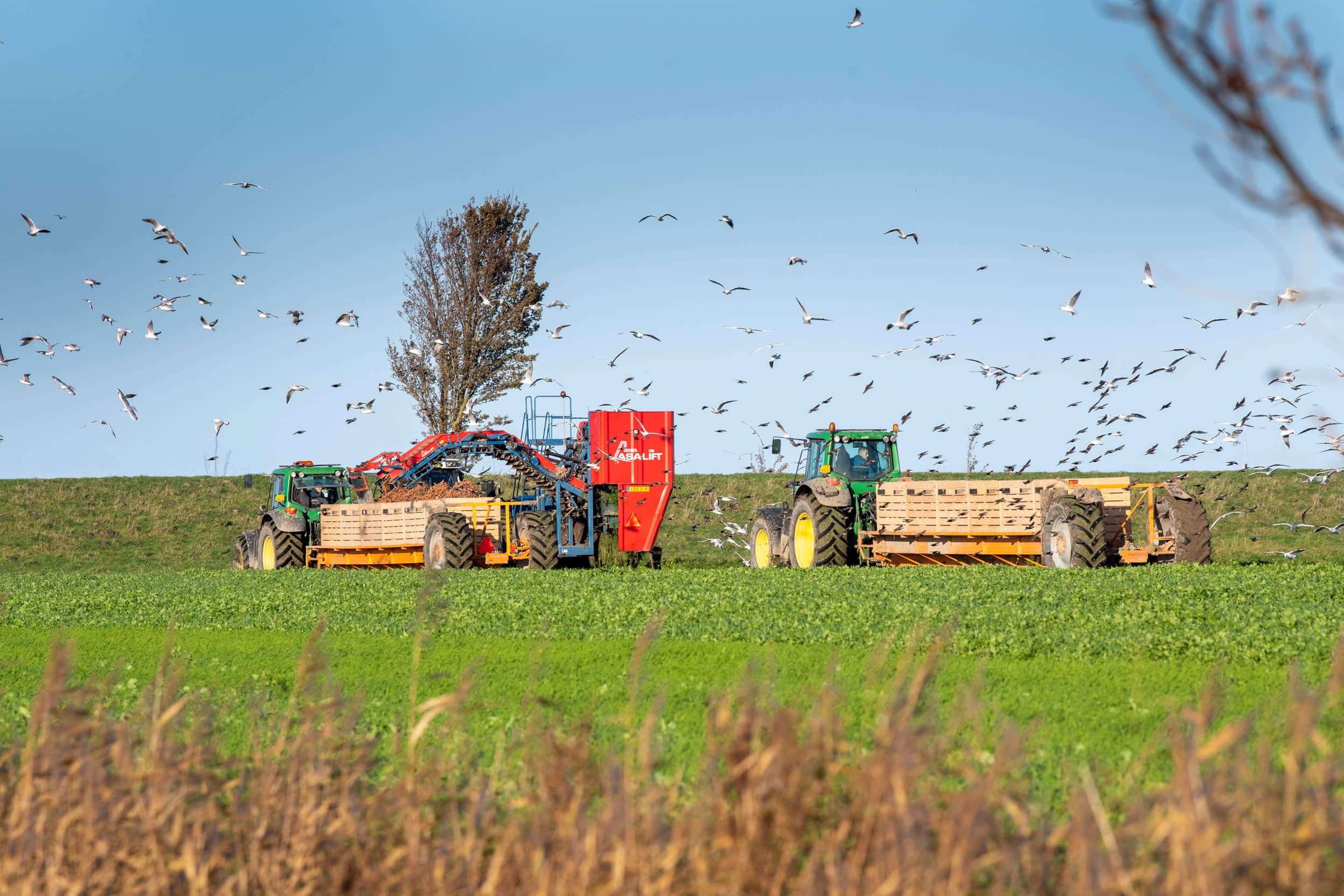 tarieven biologische certificering Skal hoger