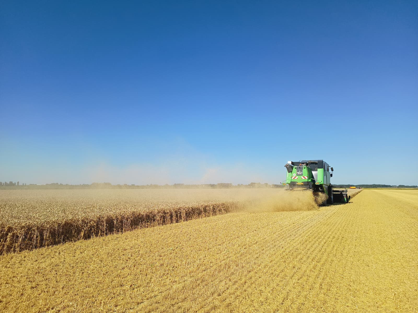 Het was de warmste dag van het jaar - maandag 12 augustus - en in het Groninger Lauwerzijl stond zoveel wind dat het stof tot ver voorbij de akkers reikte. Tegen een strak blauwe lucht leverde dat prachtige plaatjes op! Gerrit Rinkema zit zelf op de combine op zijn akkerbouwbedrijf. - Foto: Douwinja Rinkema