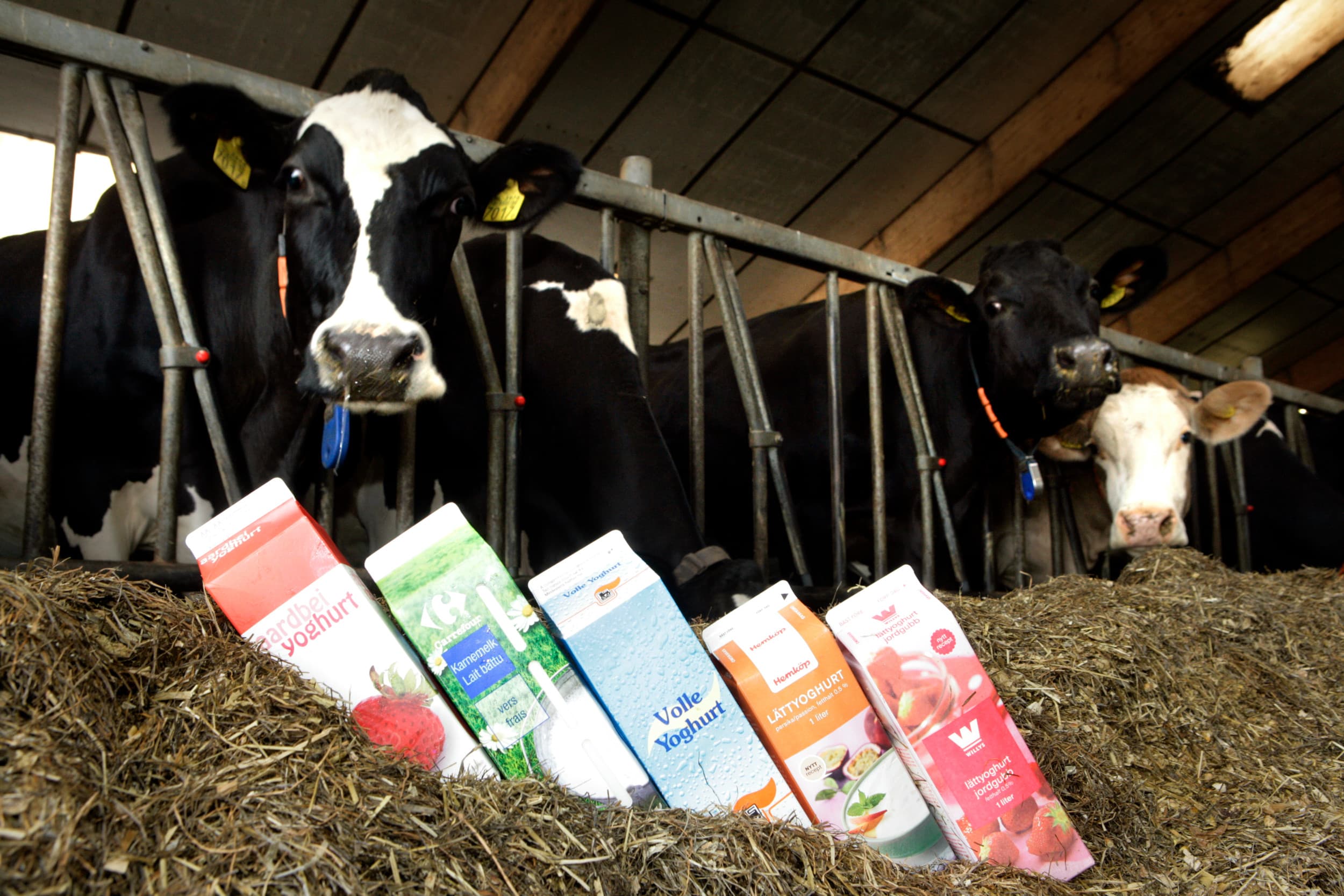 ook boeren in de Tweede Kamer plakken aan het pluche