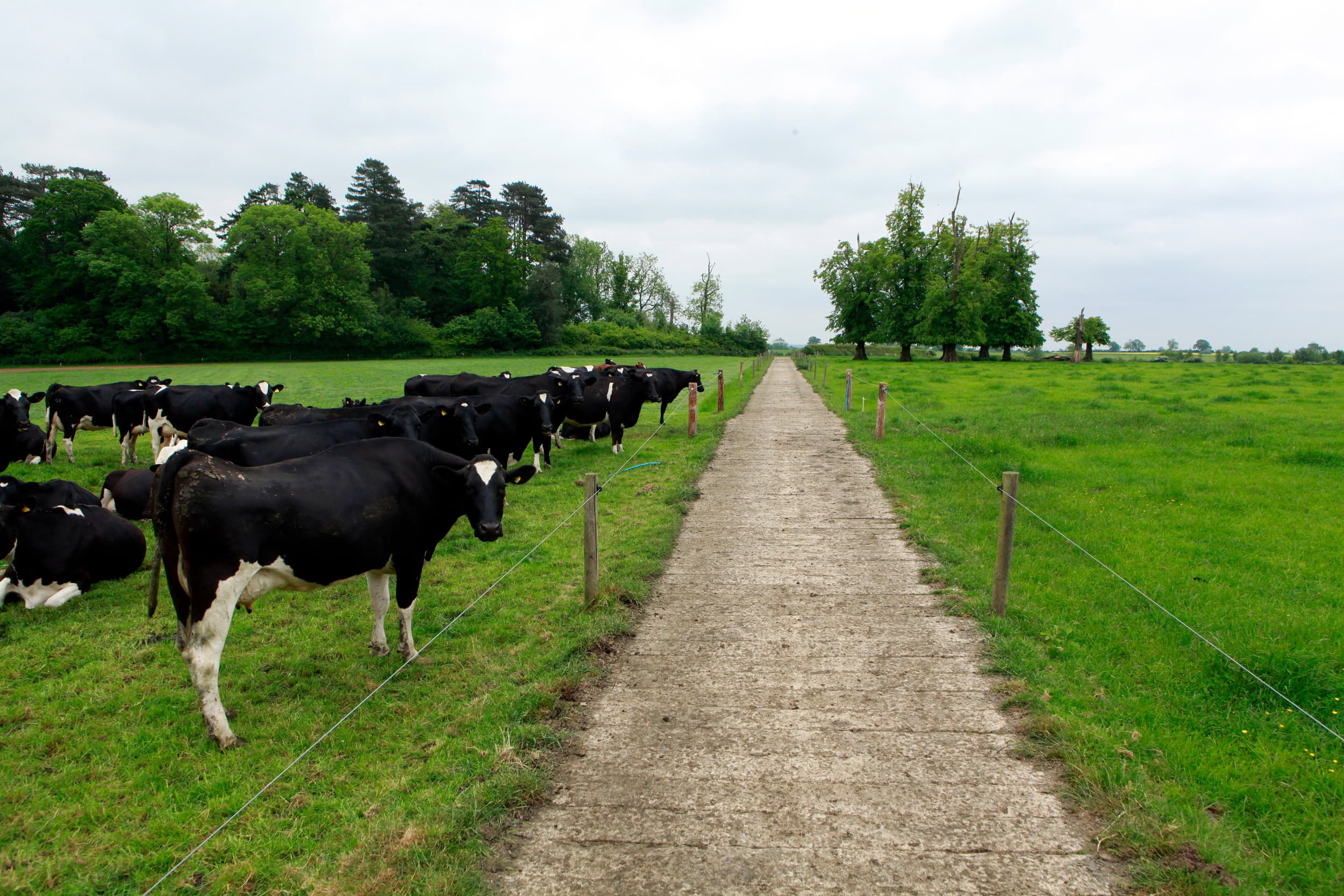 dierlijk afval in veevoer Verenigd Koninkrijk