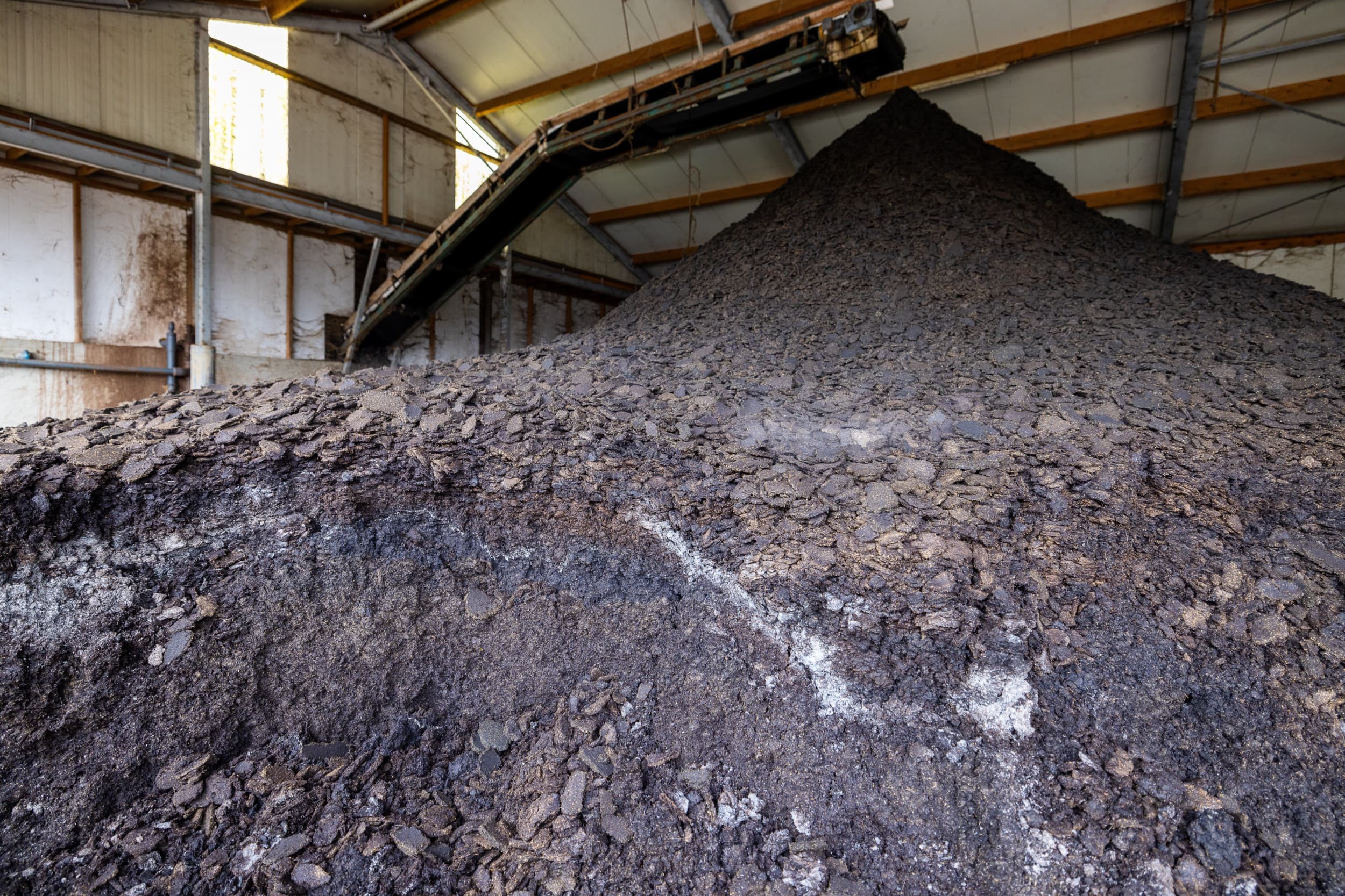 hoger mestexport dus effectief kabinet
