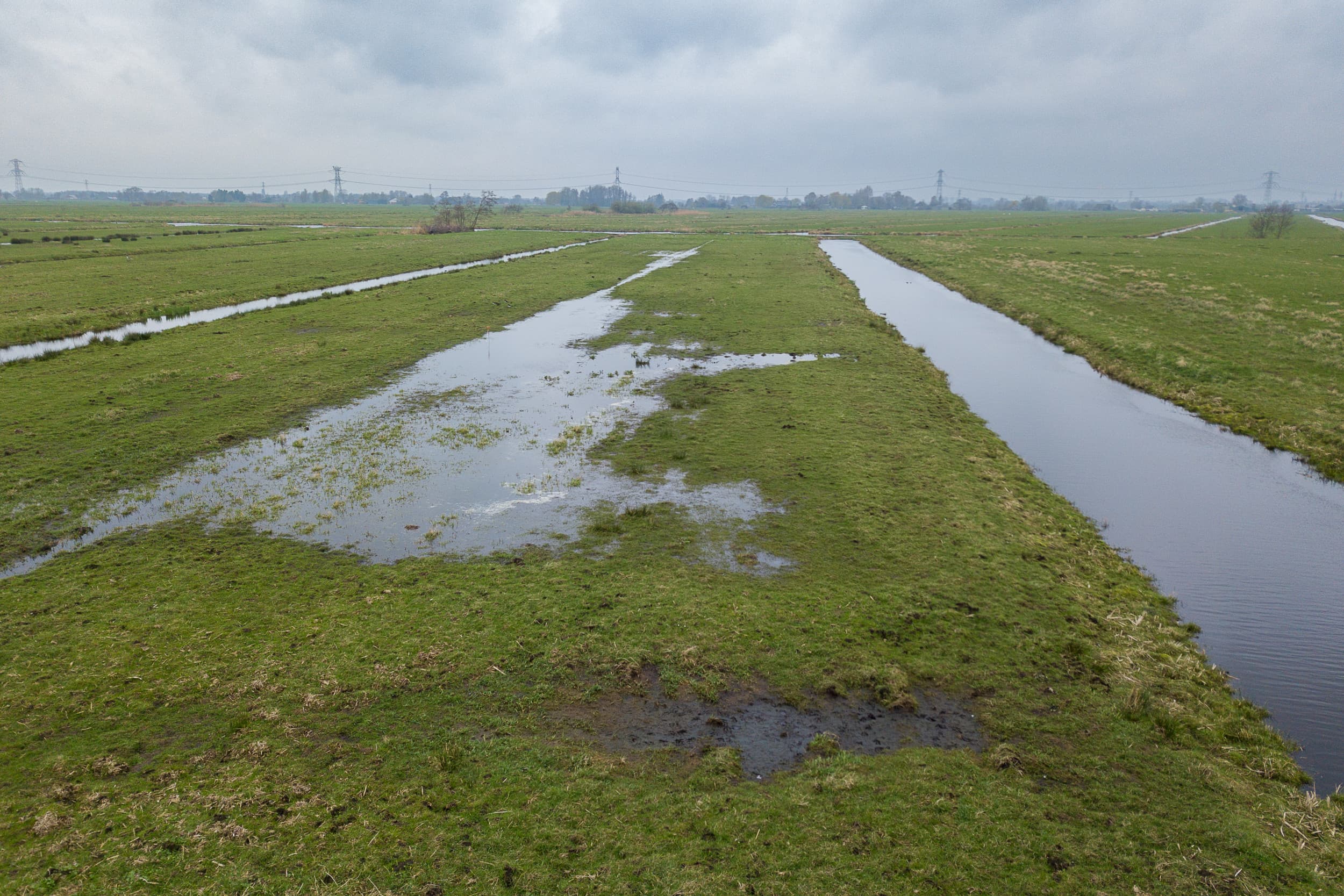 Nitraatrichtlijn herziening en stikstof-efficiëntie in landbouw