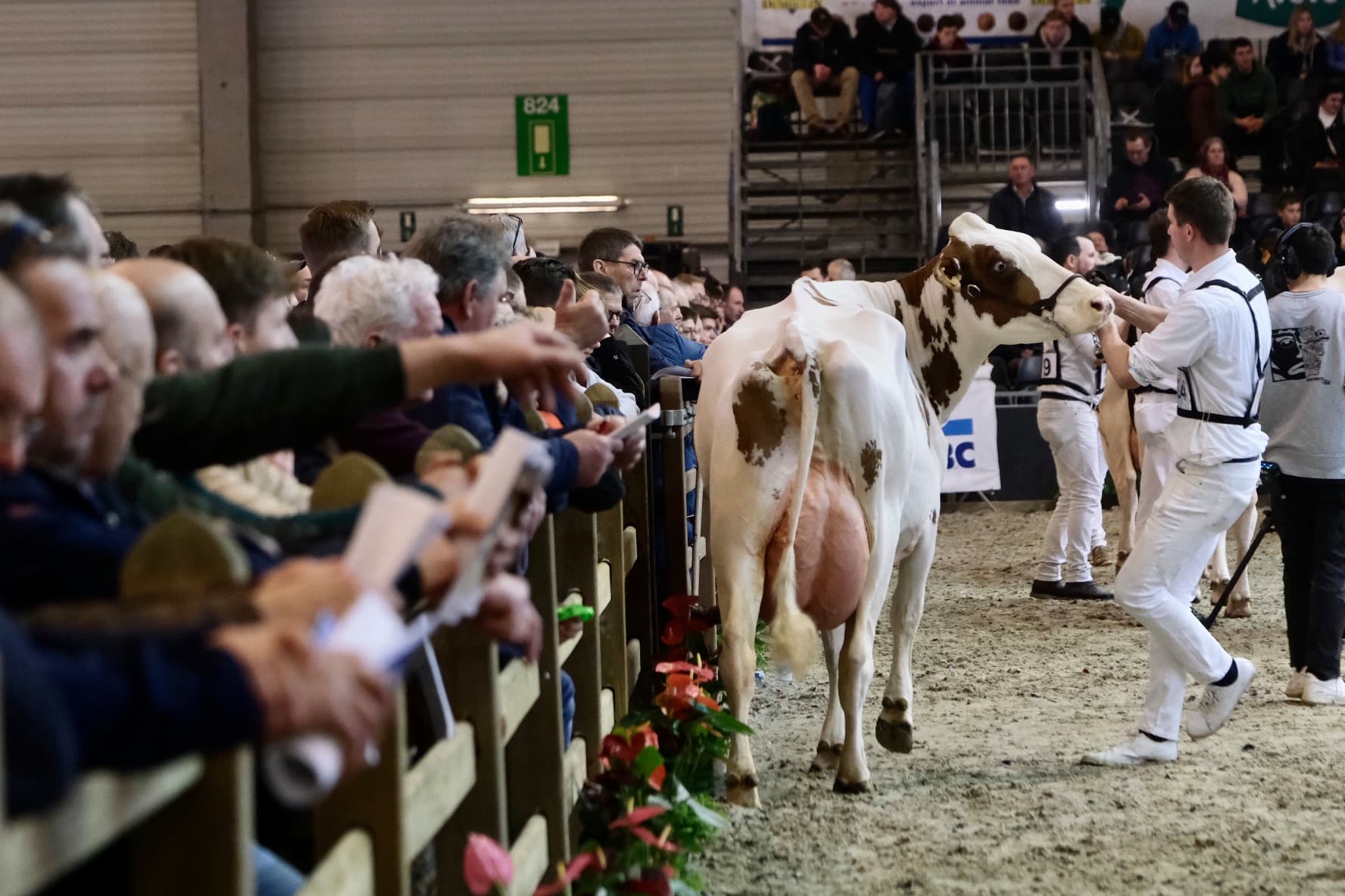 De Belgische landbouwbeurs AgriFlanders die van 16 tot en met 19 januari wordt gehouden heeft besloten om de veekeuringen niet door te laten gaan. Op foto beeld van de beurs in 2023. Foto: Twan Wiermans
