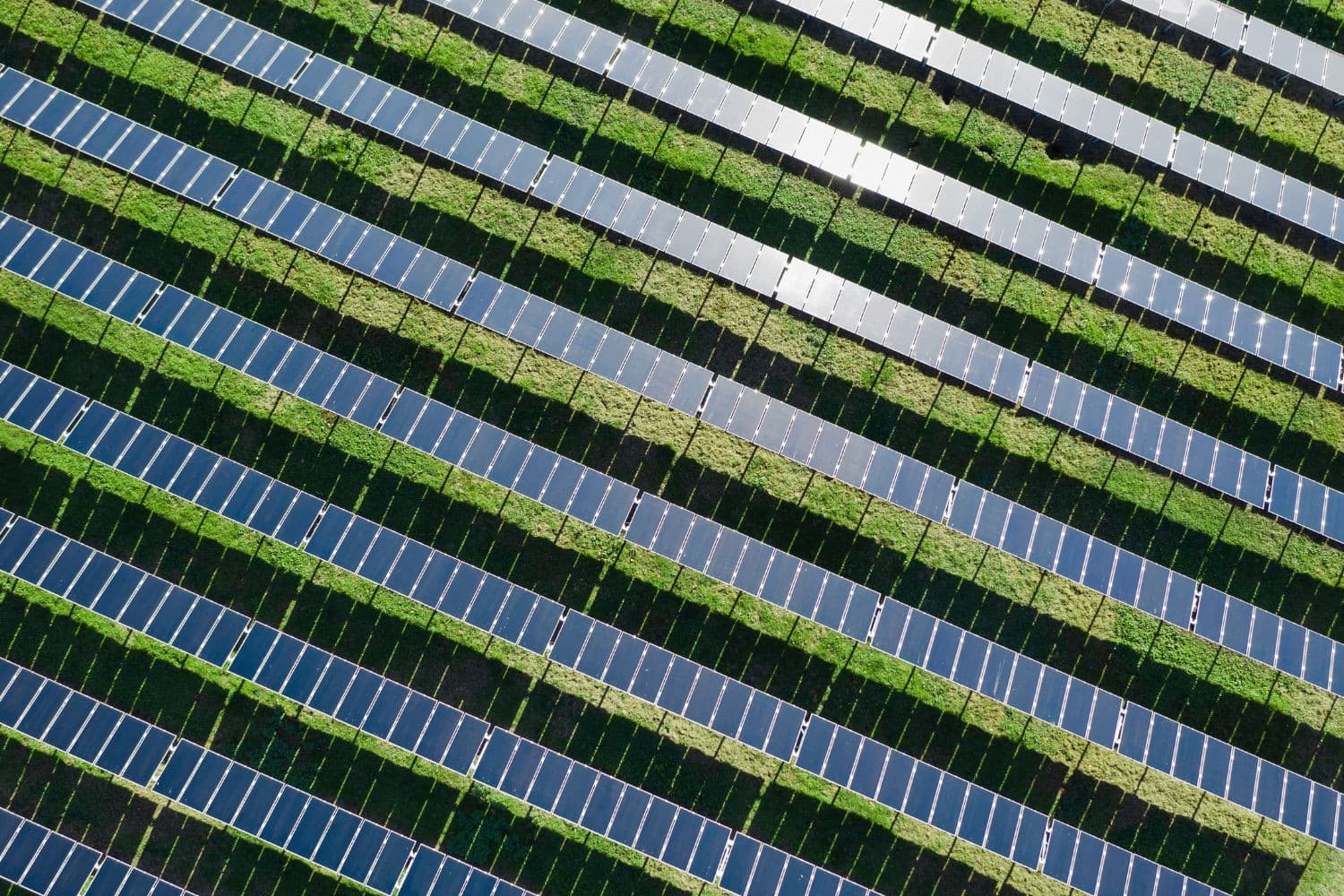 Zonneparken in Duitsland drijven pachtprijzen op tot €4.000 per hectare, ruim zes keer hoger dan boeren gemiddeld betalen. Foto: Canva/Getty Images