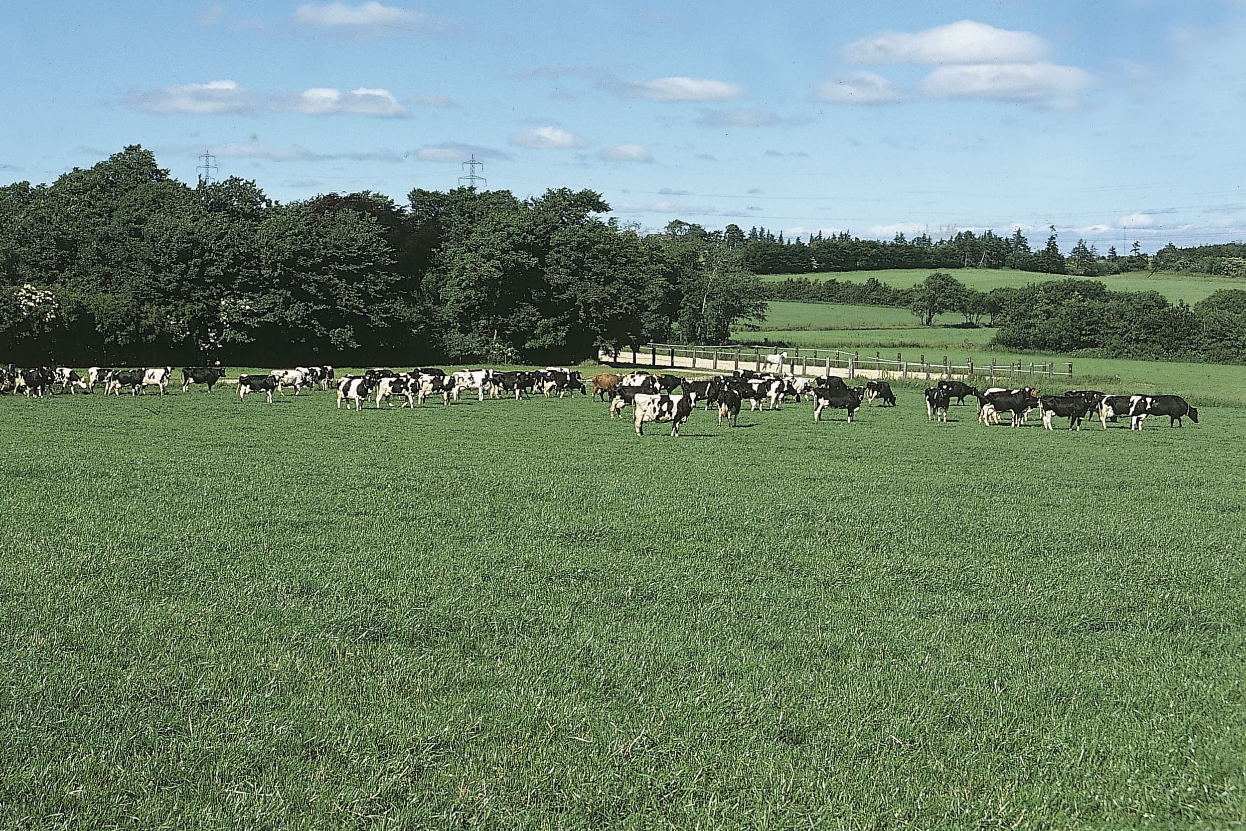 sanering Deense landbouw op komst