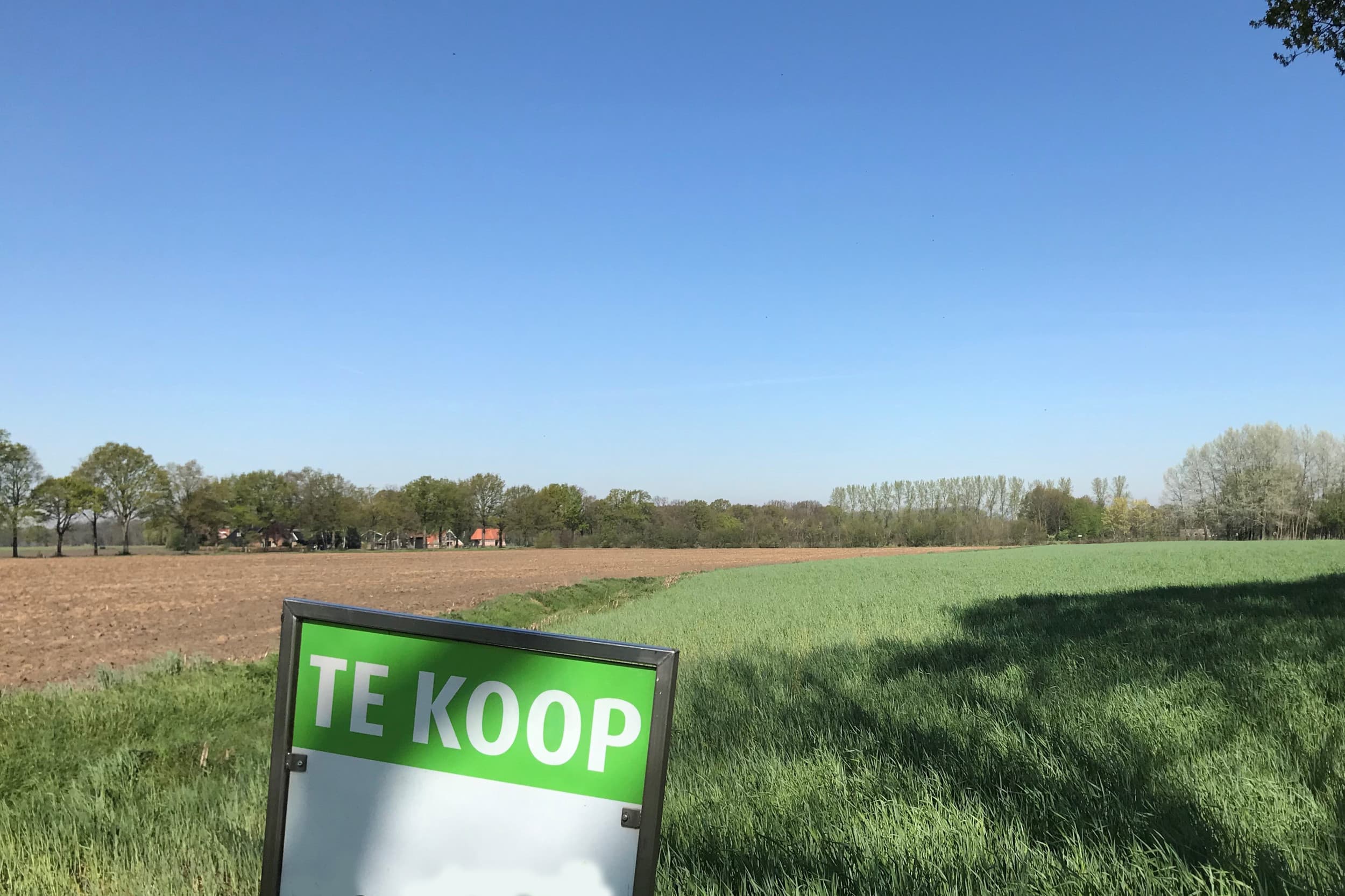 De gemiddelde agrarische grondprijs komt in het derde kwartaal ietsjes lager uit dan in het tweede kwartaal. Foto: Misset
