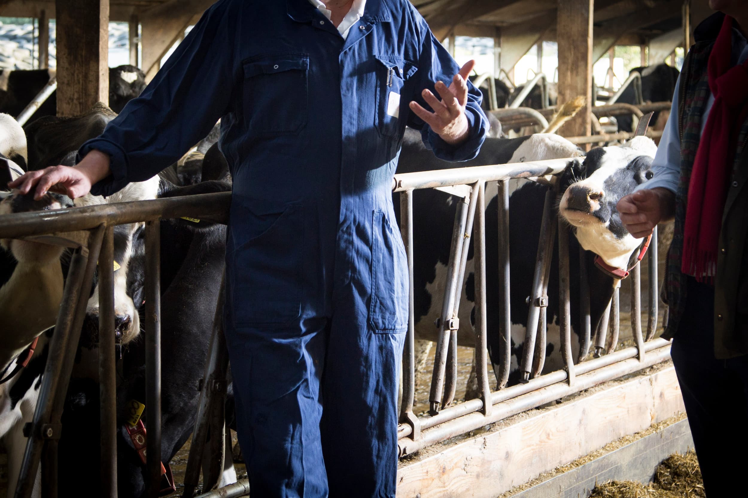 De Belastingdienst handhaaft vanaf 2025 op schijnzelfstandigheid, maar deelt dat jaar nog geen boetes uit. Zelfstandigen en opdrachtgevers krijgen eerst een waarschuwing. Foto: Koos Groenewold