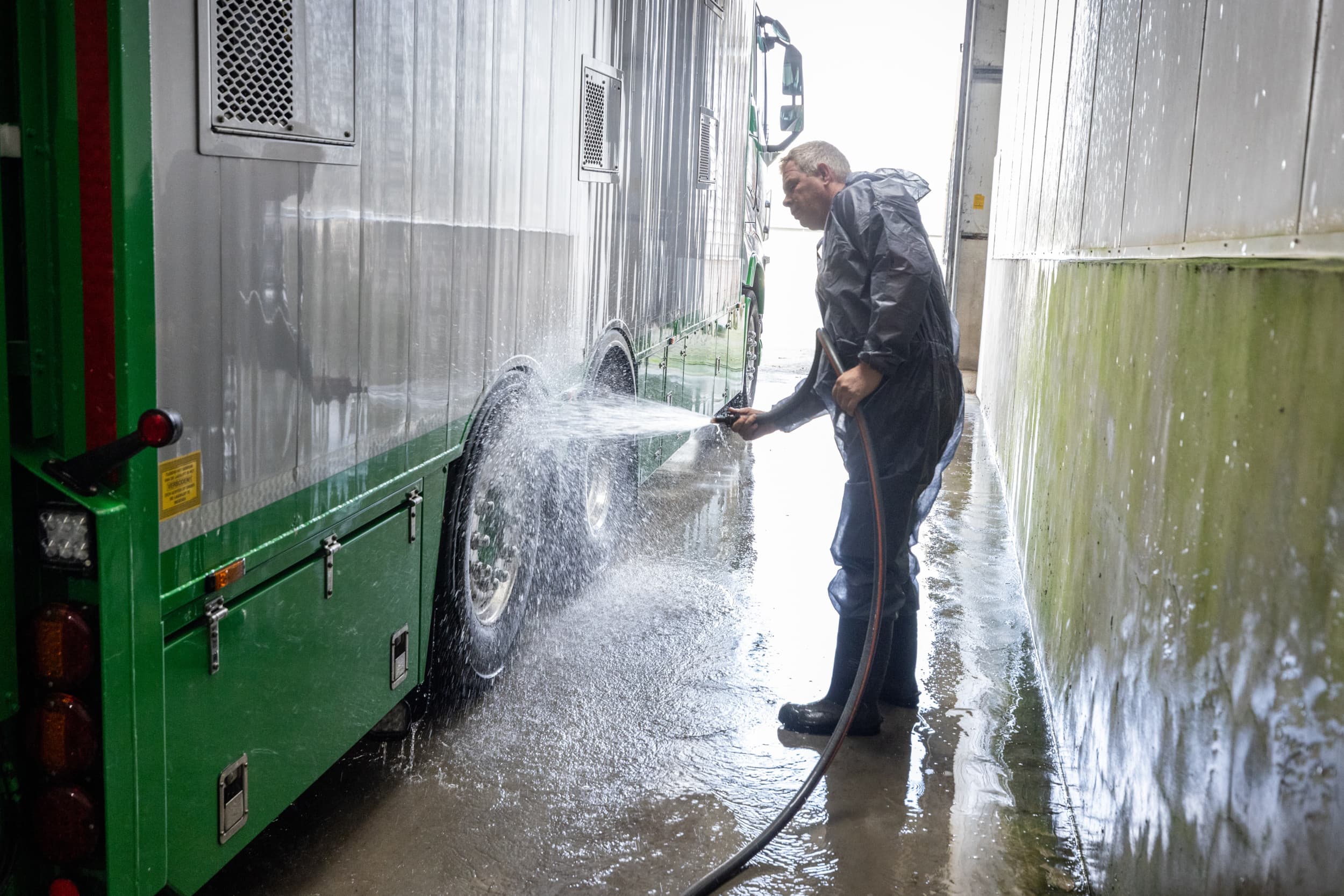 Vervoerders van onder meer pluimvee, eieren en varkens moeten ‘dringend’ hun hygiënemaatregelen aanscherpen, vindt de NVWA. Foto: Koos Groenewold