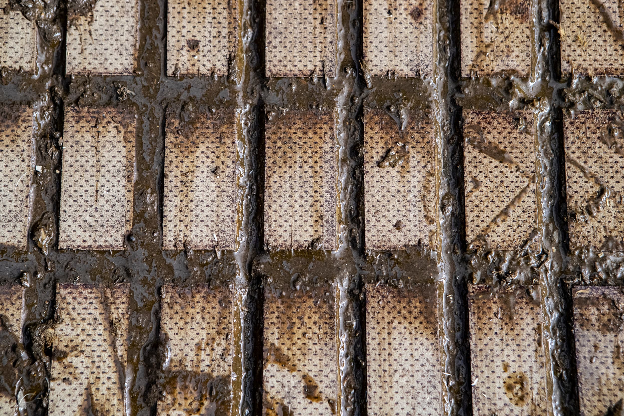 strafrechtrelijke uitspraken fosfaatrechten