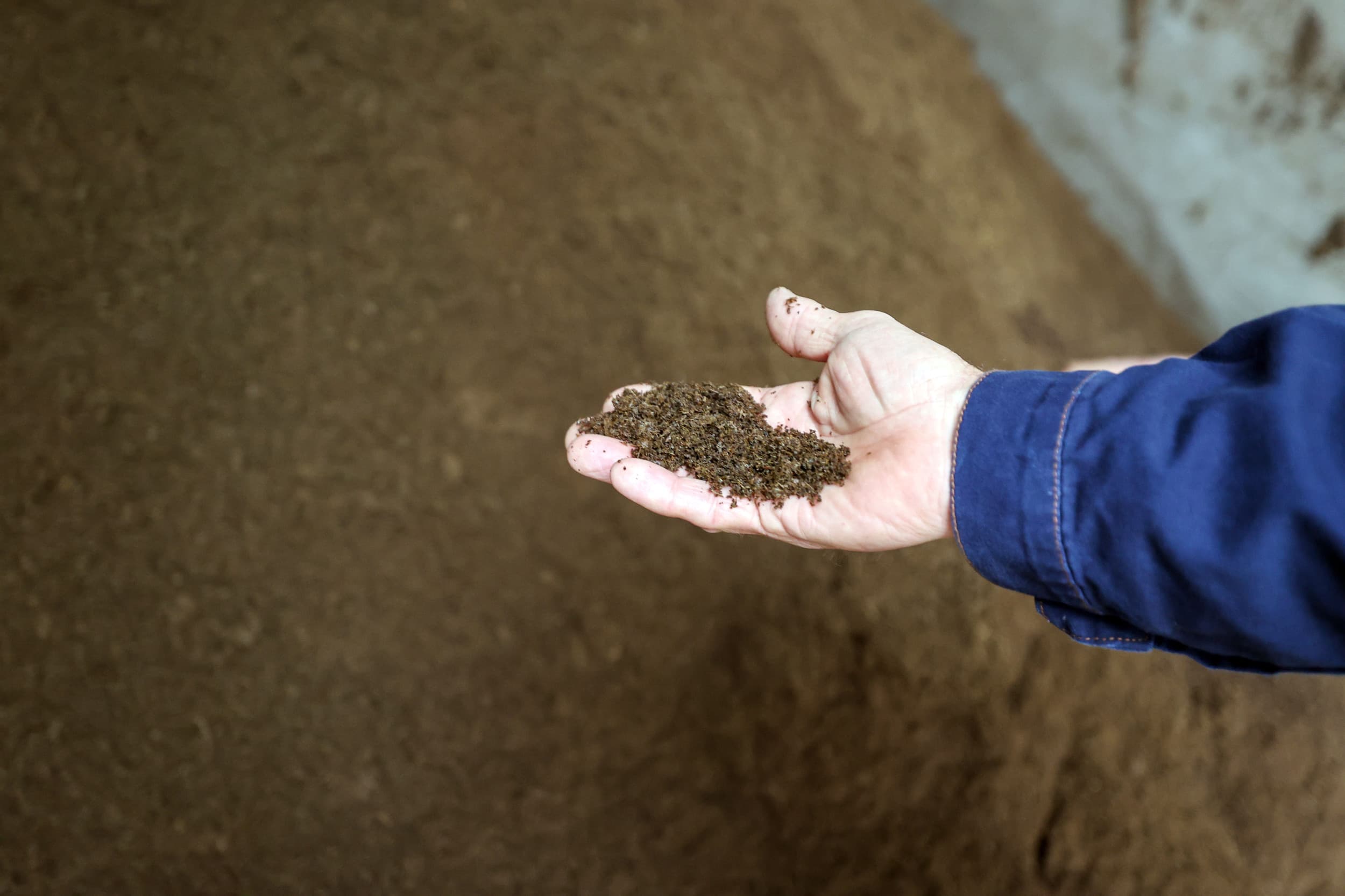 varkensstal met dagontmesting