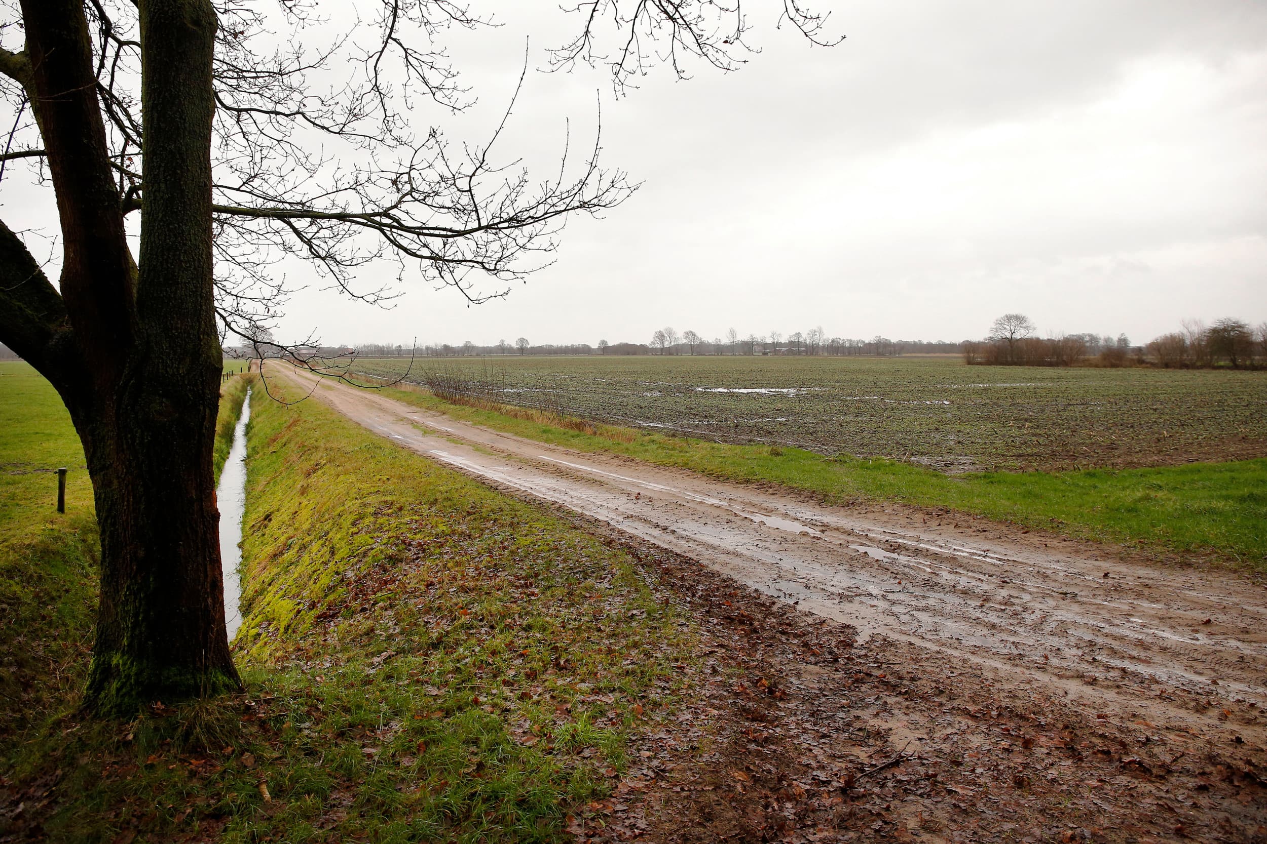 Grond terugkopen uit een Fagoed-constructie valt onder de landbouwvrijstelling, zo bevestigde de Hoge Raad. Foto ter illustratie. Foto: Hans Prinsen