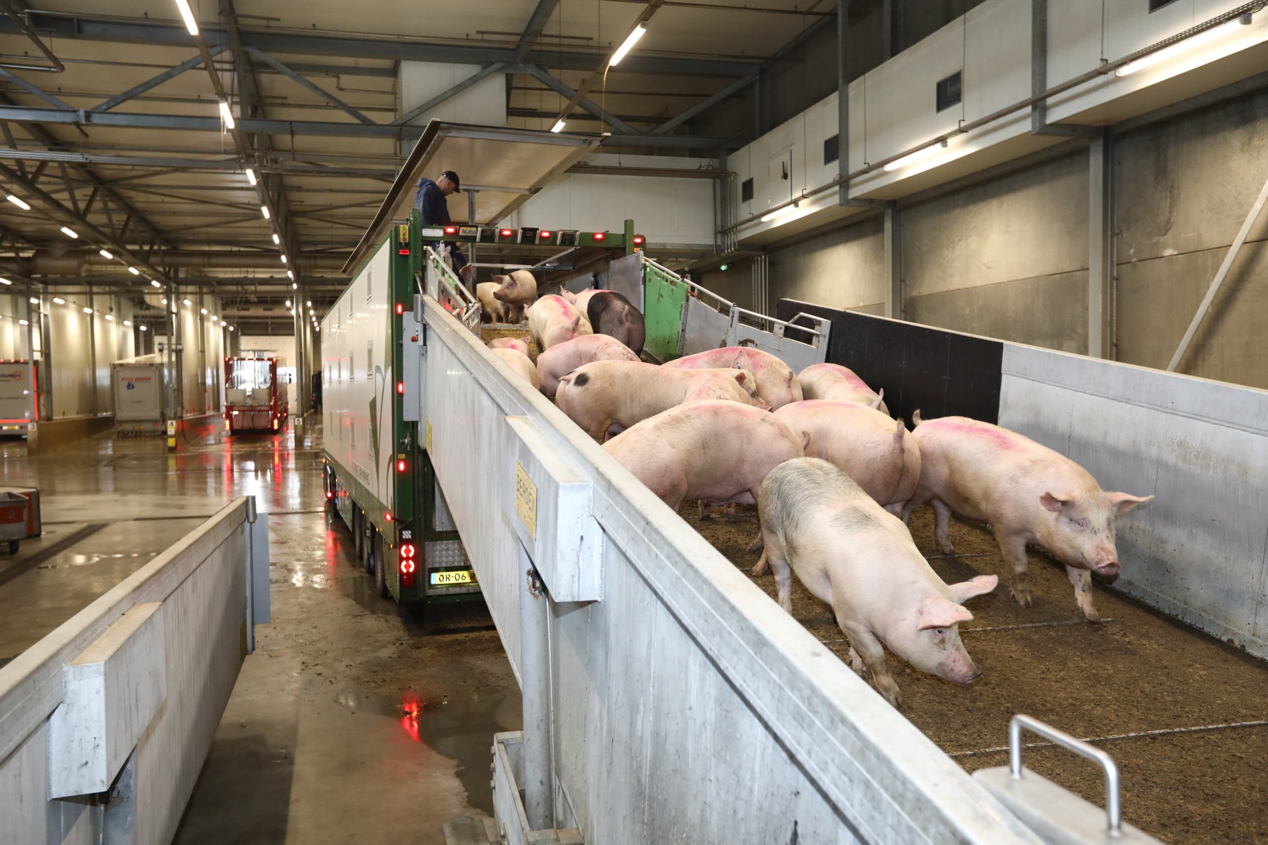 VS grootste exporteur varkensvlees