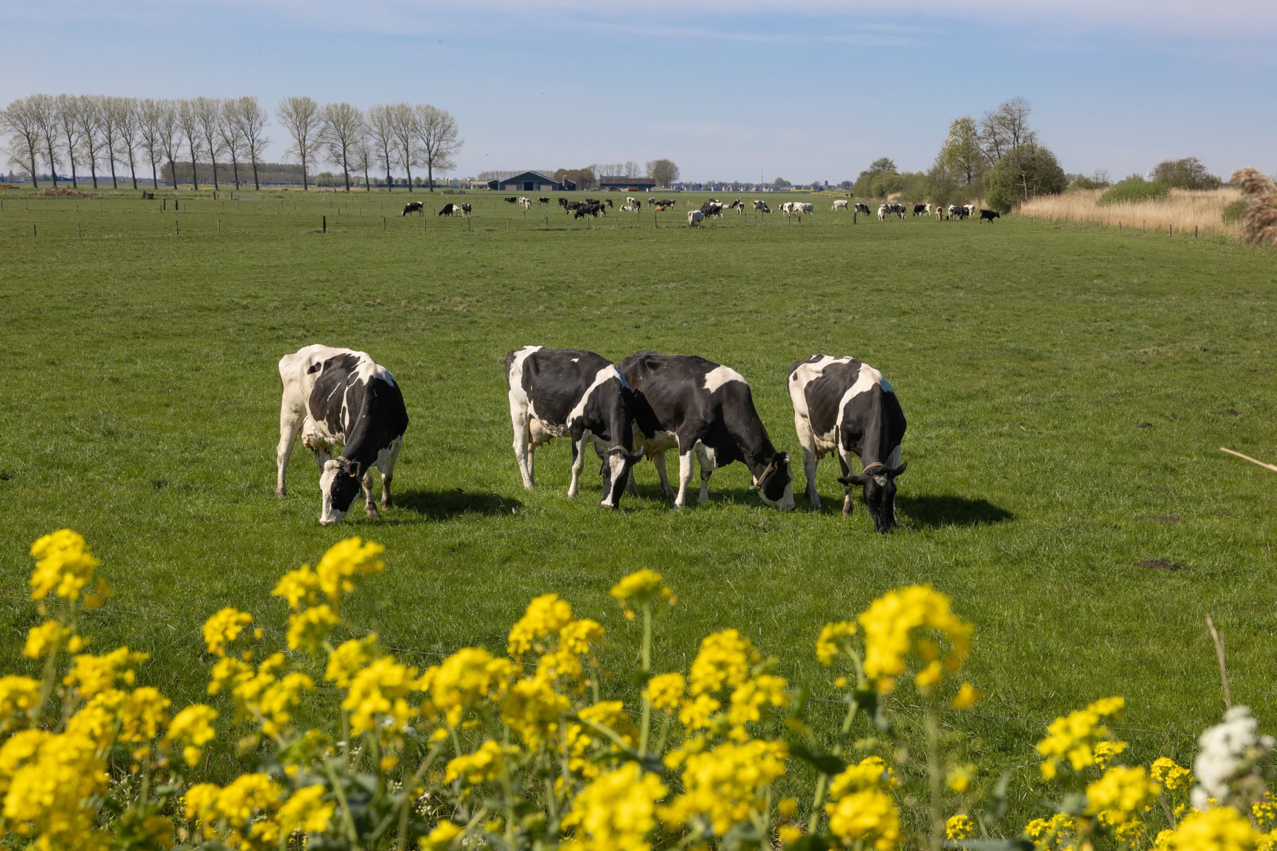 duidelijkheid over stoppersregeling