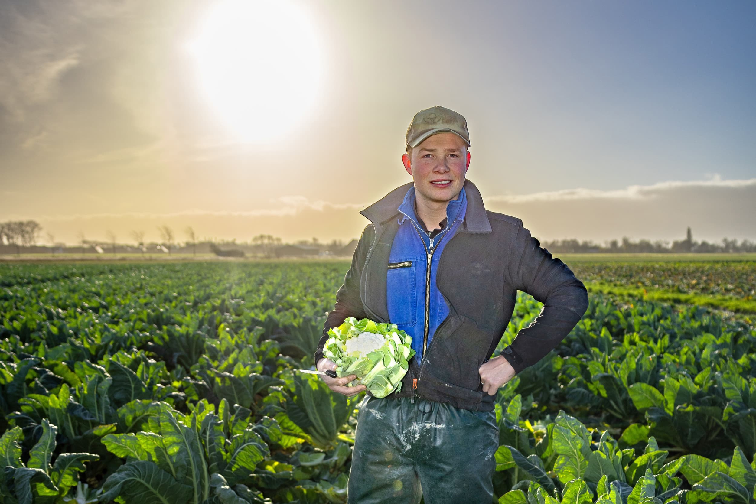 Bedrijfsopvolger Lein Dieleman: bloemkool is onze hoofdteelt, dat is echt het juffertje onder de groenten. Foto’s: Peter Roek