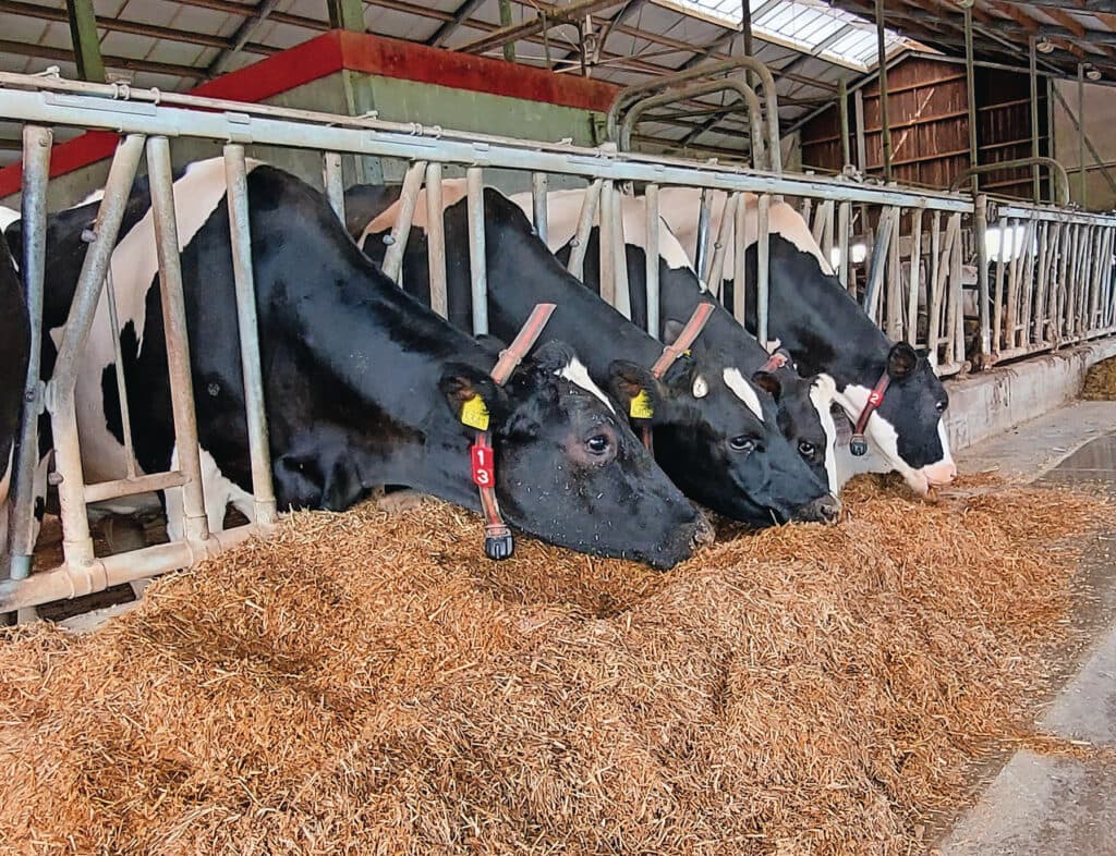 Foto's: Agrifirm