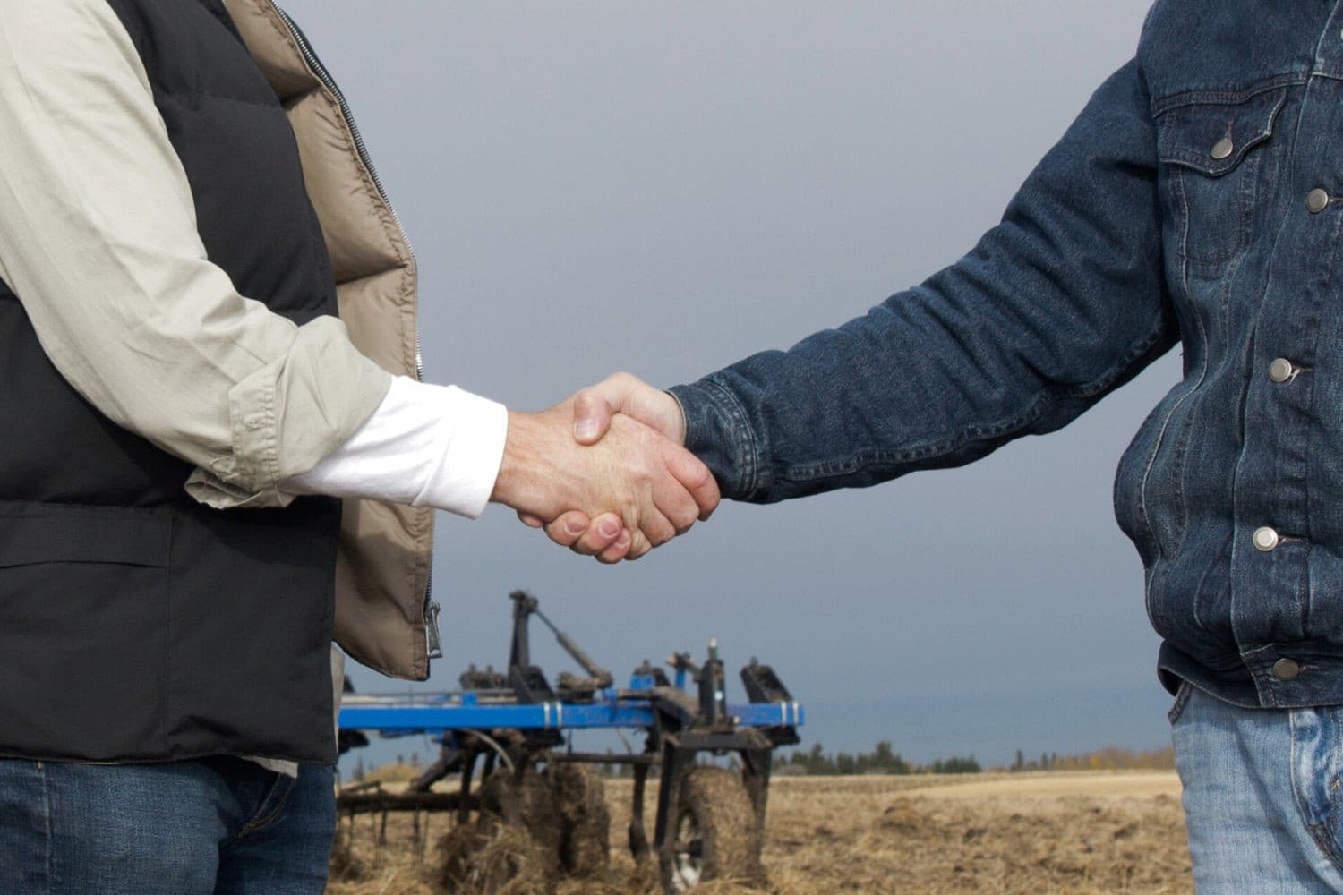Wiersma benadrukt het belang van ondersteuning voor jonge boeren om voldoende bedrijfsopvolgers te waarborgen en de agrarische sector toekomstbestendig te houden. Foto: Canva