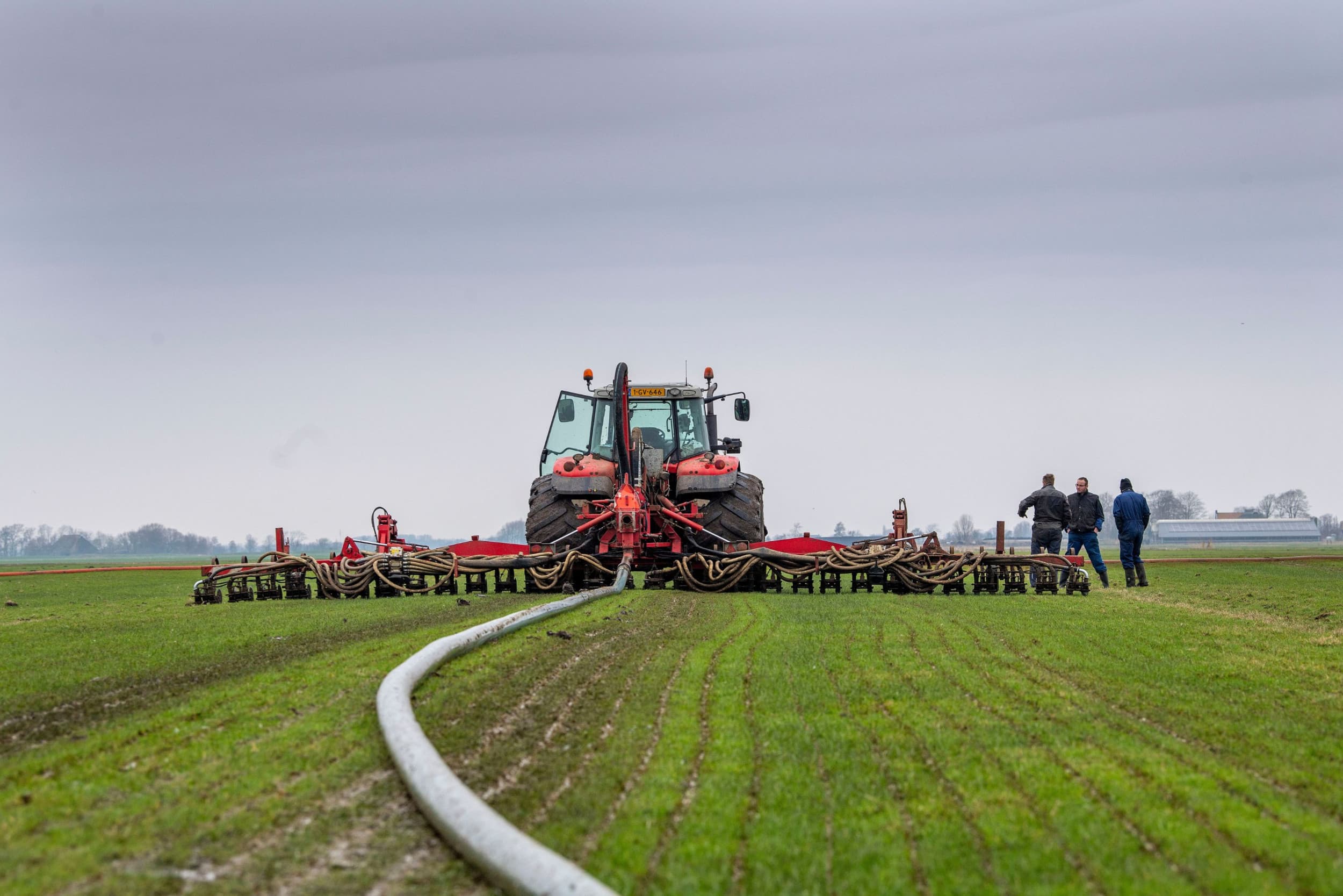 Met prijzen van rond en boven de €30 per ton zijn mestafzetkosten voor melkveehouders historisch hoog. Op graanpercelen komt ruimte, maar dat zal het probleem niet oplossen. – Foto: Mark Pasveer
