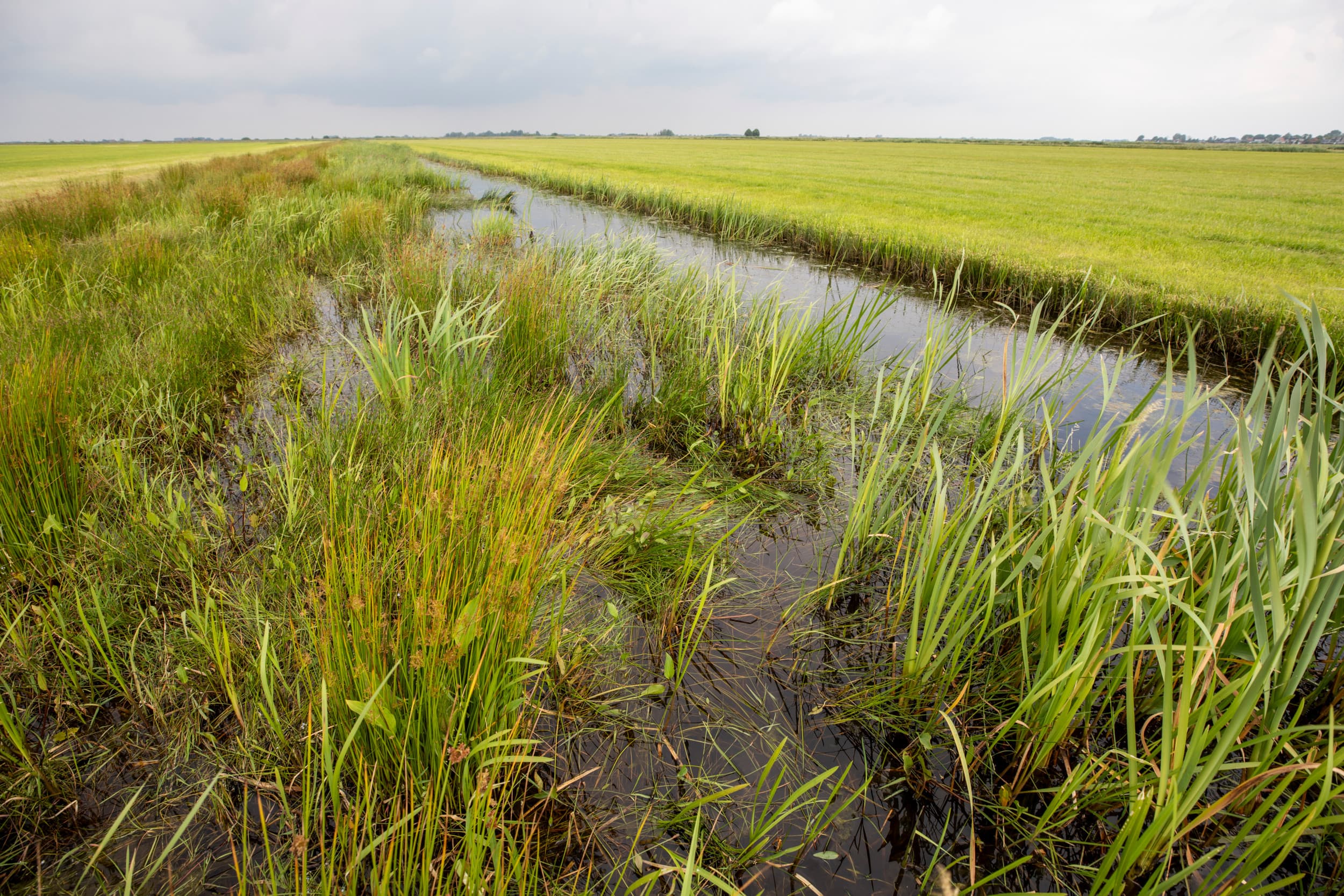 Boeren in Oost-Nederland kunnen sinds 1 oktober subsidie aanvragen voor maatregelen die verdroging tegengaan, vernatting voorkomen en de bodemkwaliteit verbeteren. – Foto: Anne van der Woude
