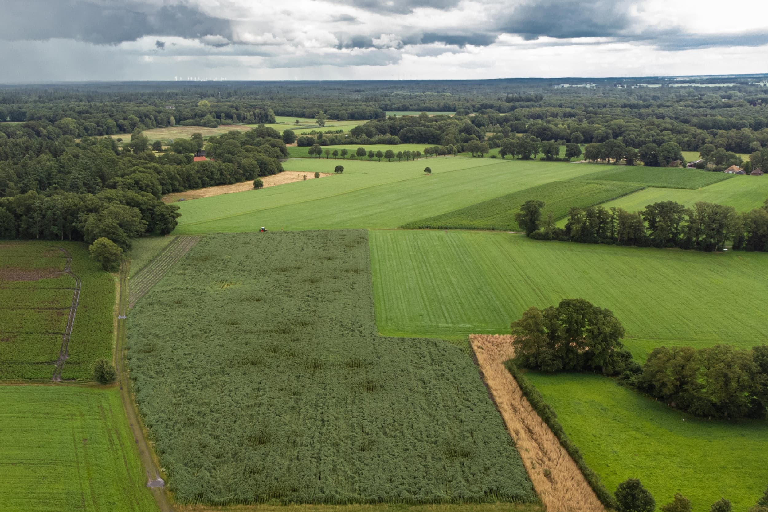 Landbouwgrond in Lemele, Overijssel. Foto: Ronald Hissink