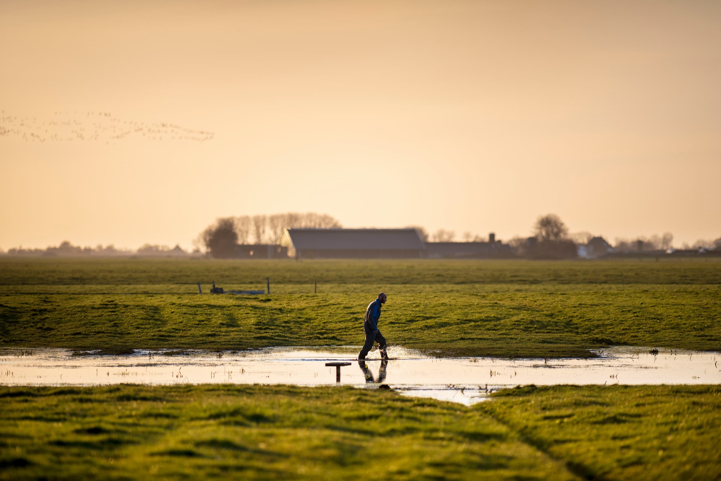 Uit een telling blijkt volgens minister Femke Wiersma dat ongeveer 13.600 stallen zich binnen een straal van 500 meter rond Natura 2000-gebied bevinden. – Foto: Mark Pasveer
