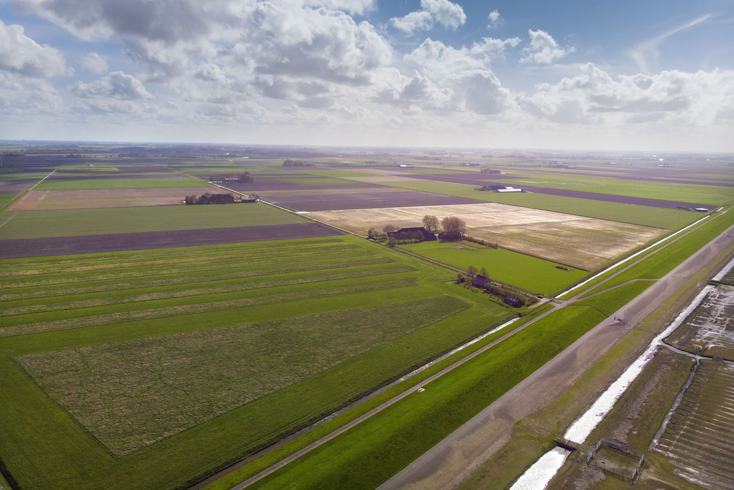 De landbouwgronden in het noorden van de provincie Groningen zijn volgens boeren in de regio onterecht aangewezen als NV-gebied. – Foto: Mark Pasveer