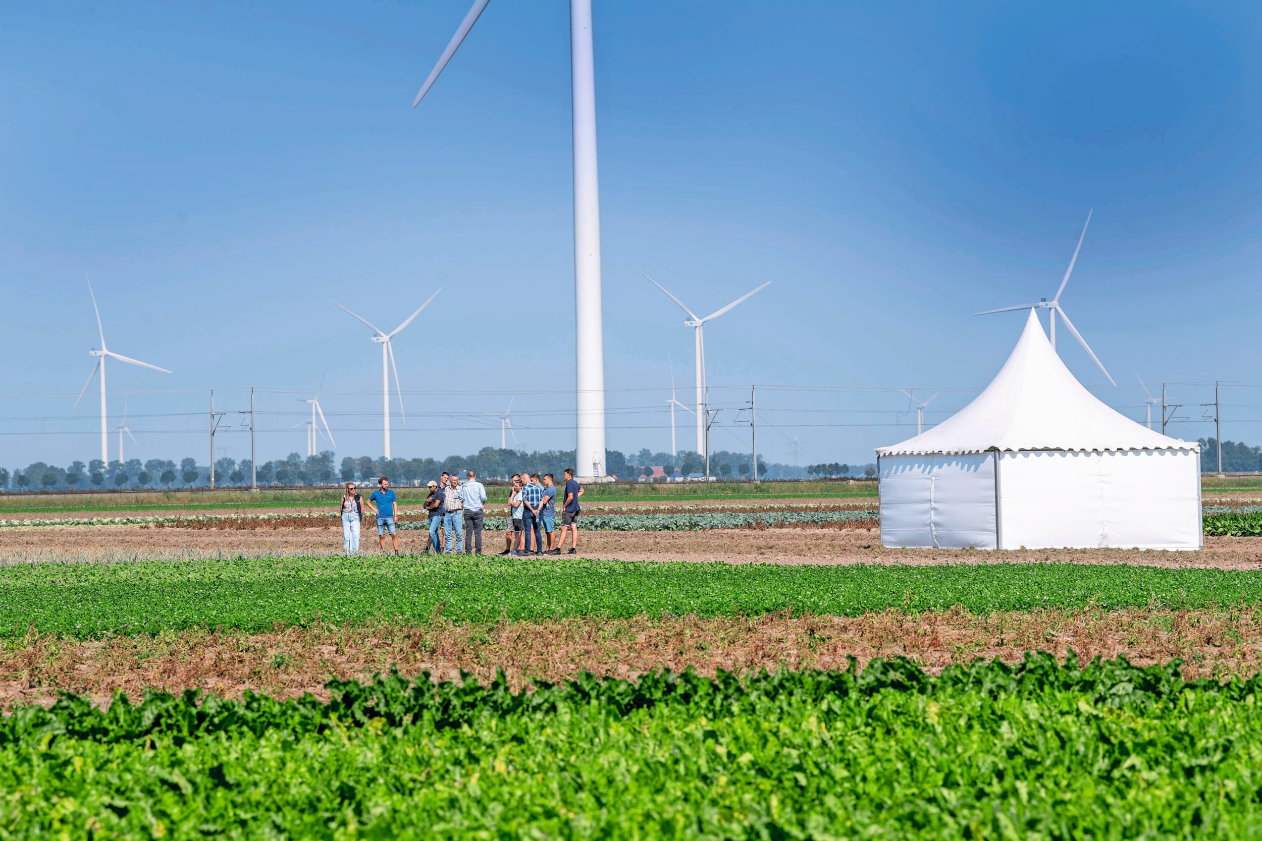Geïntegreerd teeltmanagement akkerbouw
