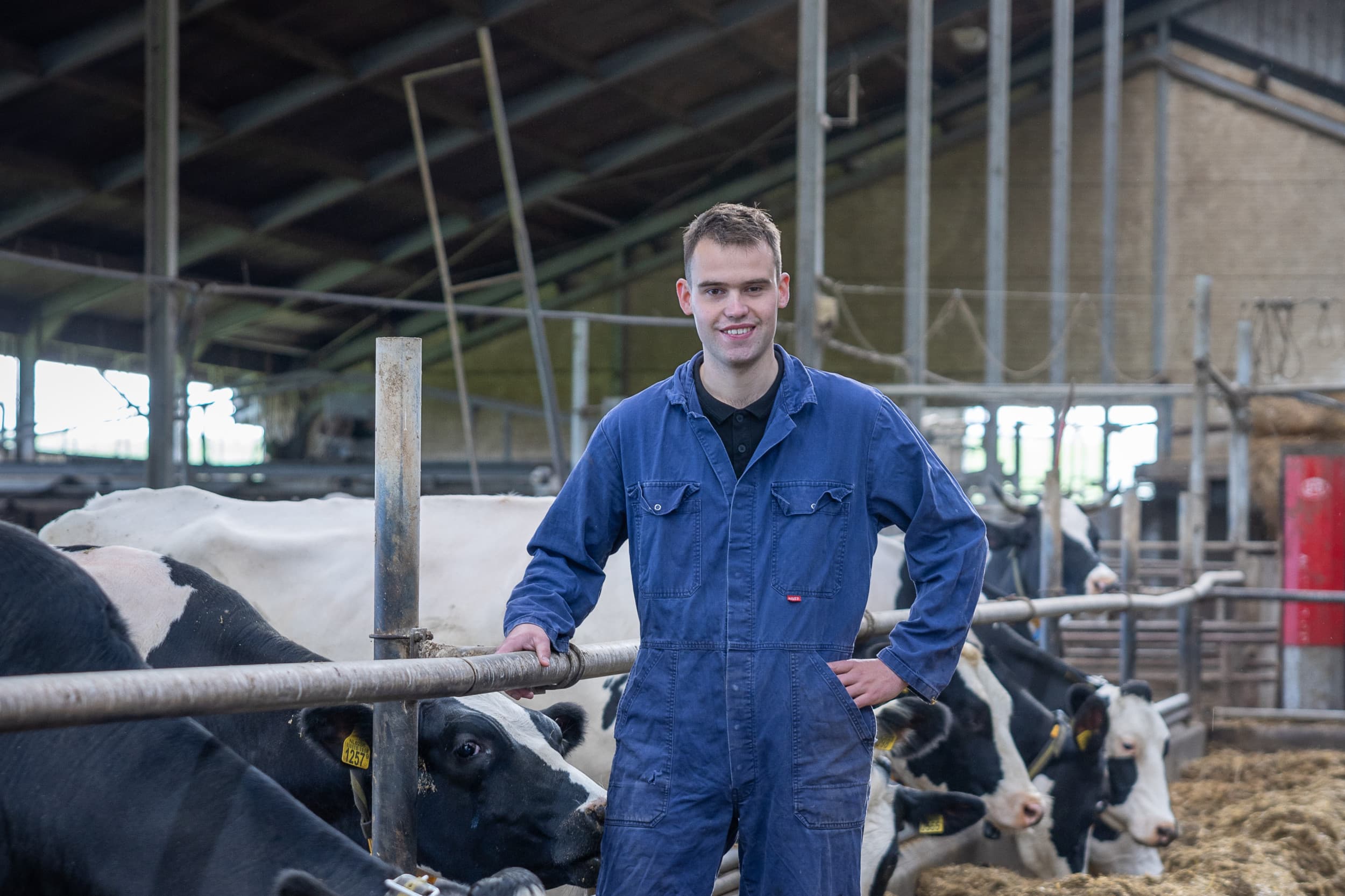 Tijn van Loon is de jonge opvolger op het melkveebedrijf in Rilland en wil met automatisering de toekomst van het familiebedrijf veiligstellen. Foto’s: Peter Roek