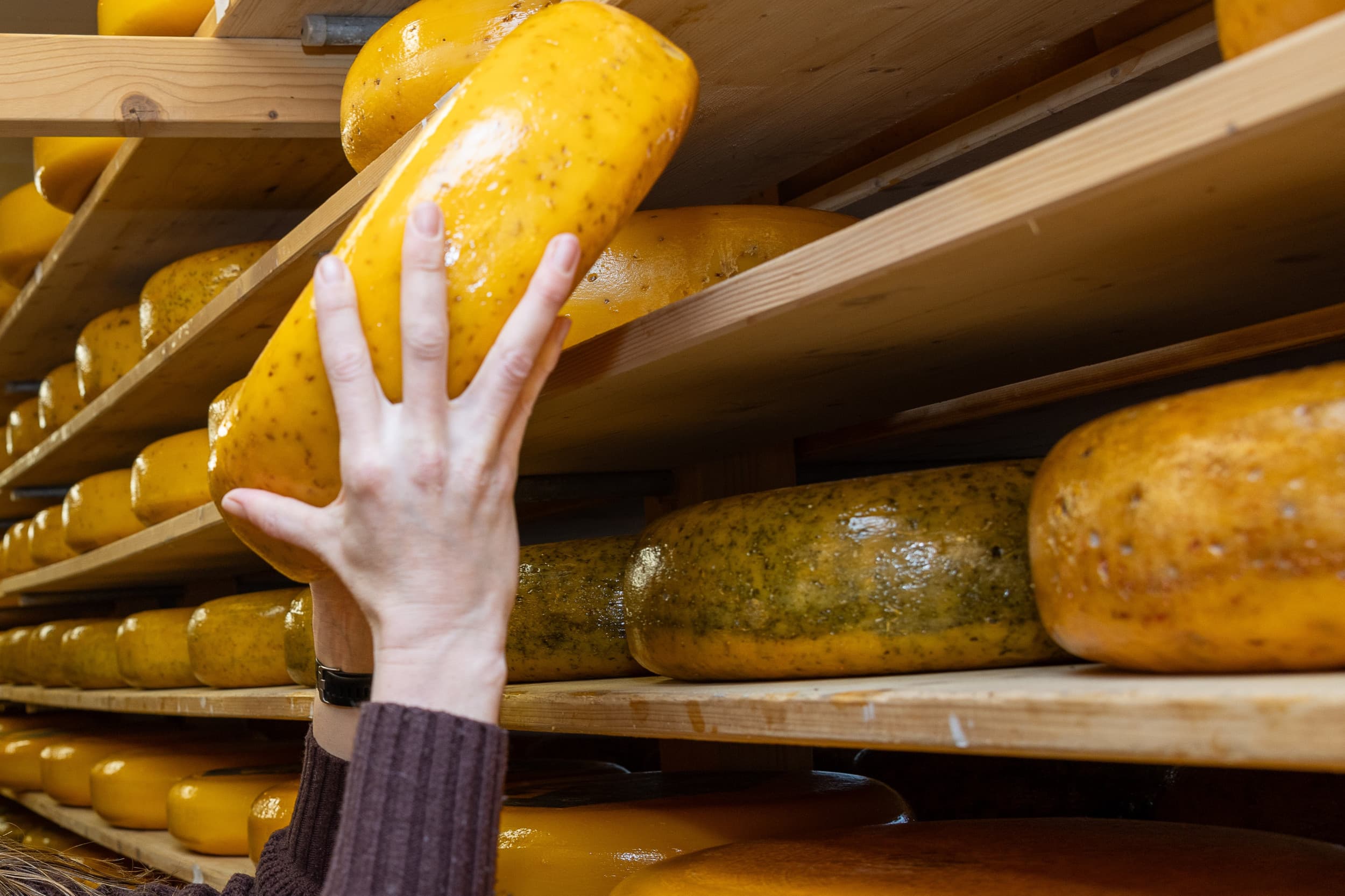 De prijs van boerderijkaas blijft in oktober stabiel op € 6,80 per kilo, ondanks hoge melkprijzen en mogelijke daling in productie. – Foto: Peter Roek
