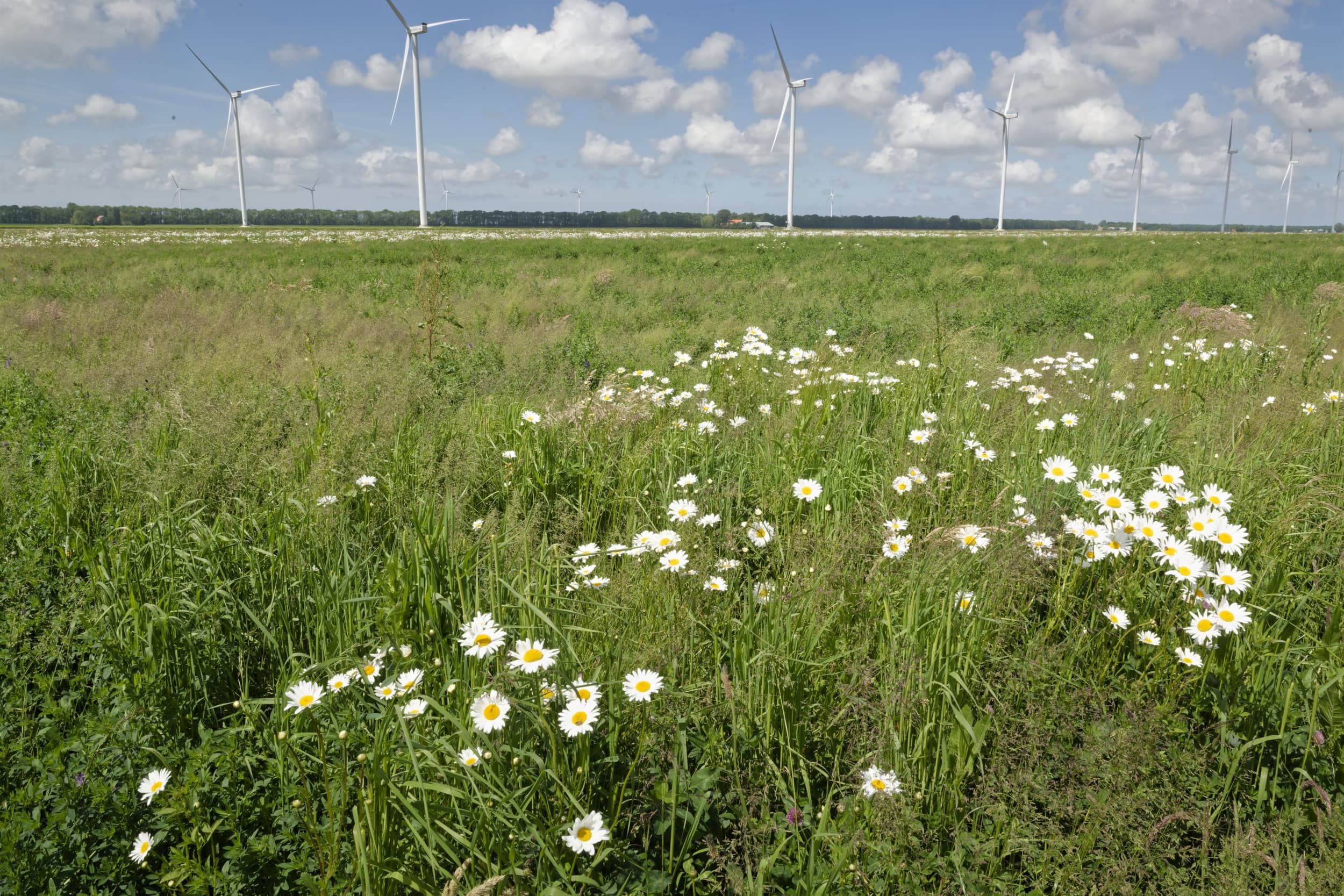 financiering duurzame landbouw IDL