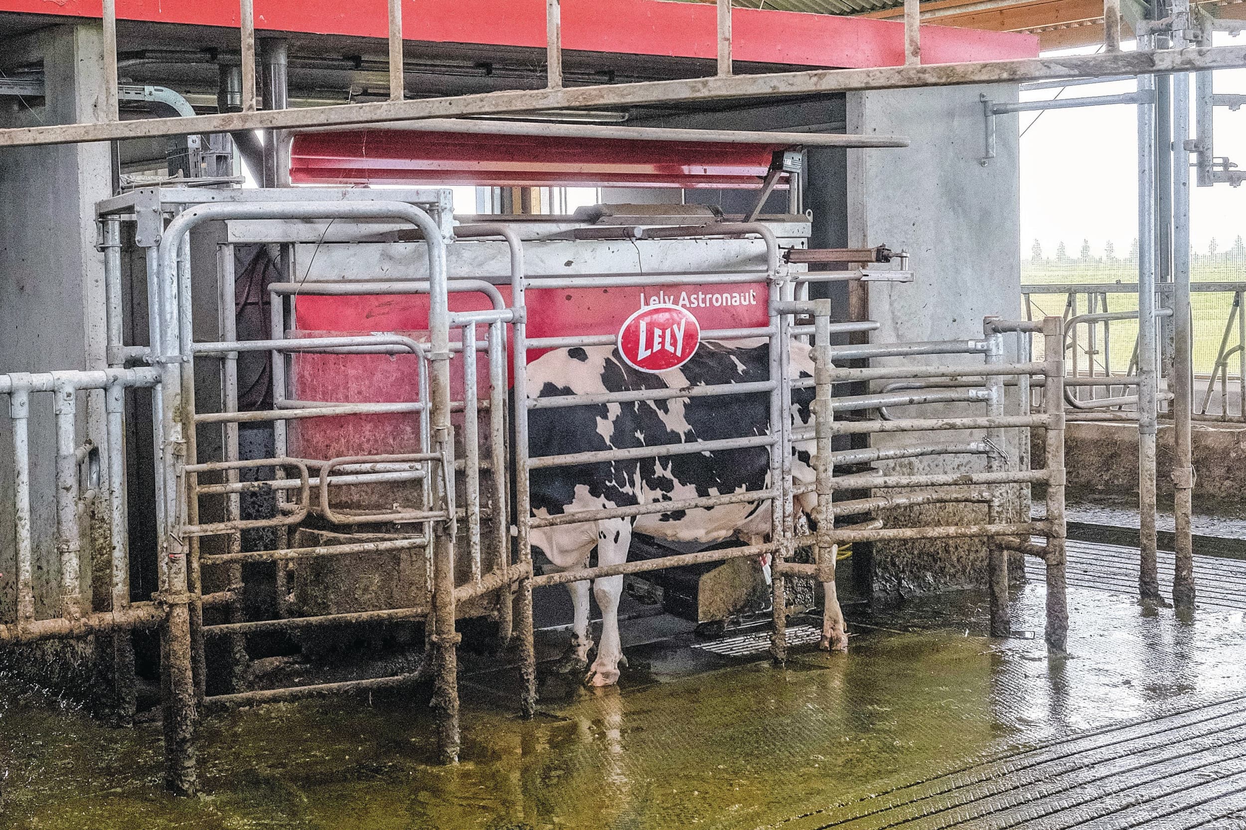 De bedrijven in de top drie in de rangschikking melken alle met een melkrobot. Foto: Jan Willem van Vliet